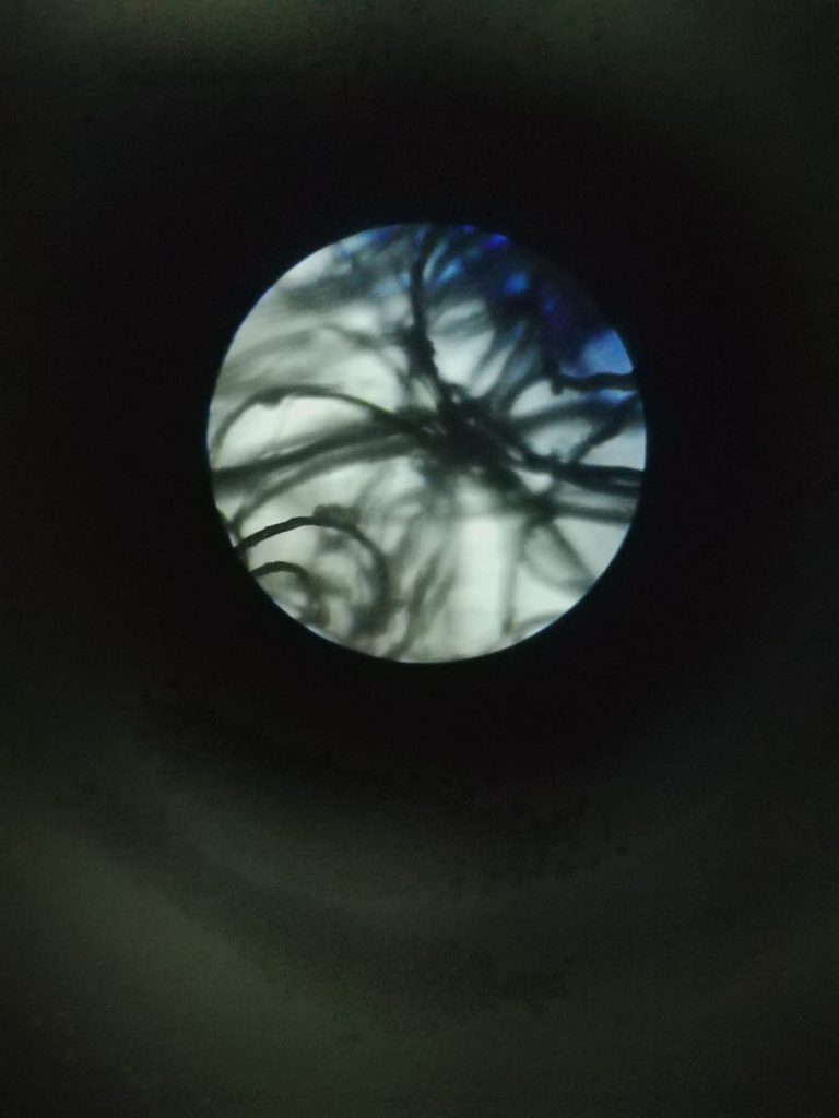 Llana vista al microscopi
