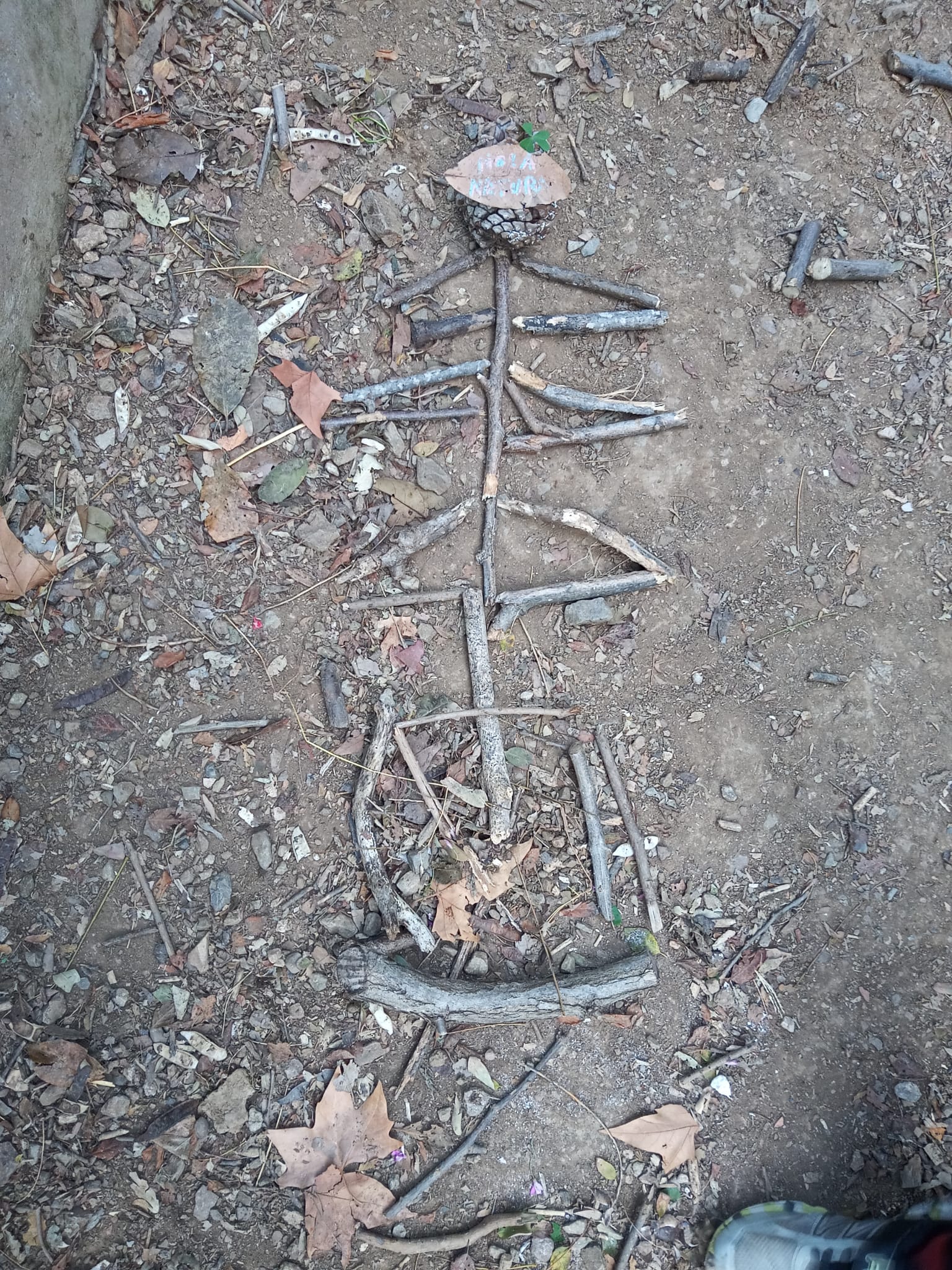 WhatsApp Image 2024-06-04 at 15.56.13 (1)