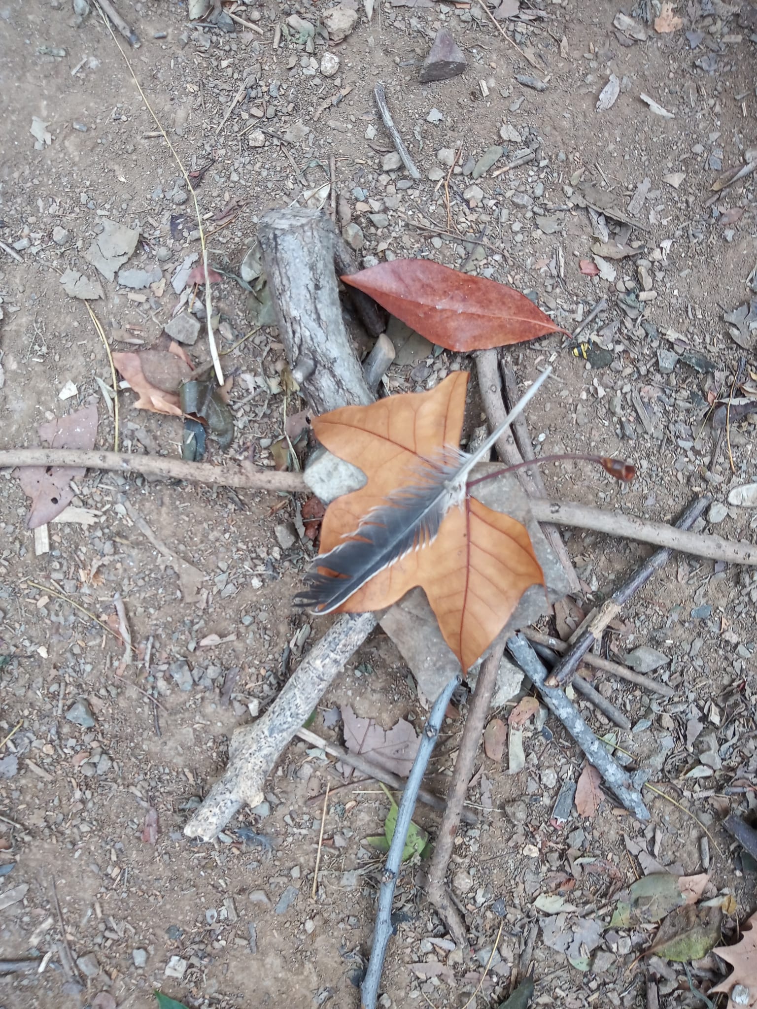 WhatsApp Image 2024-06-04 at 15.56.13 (2)