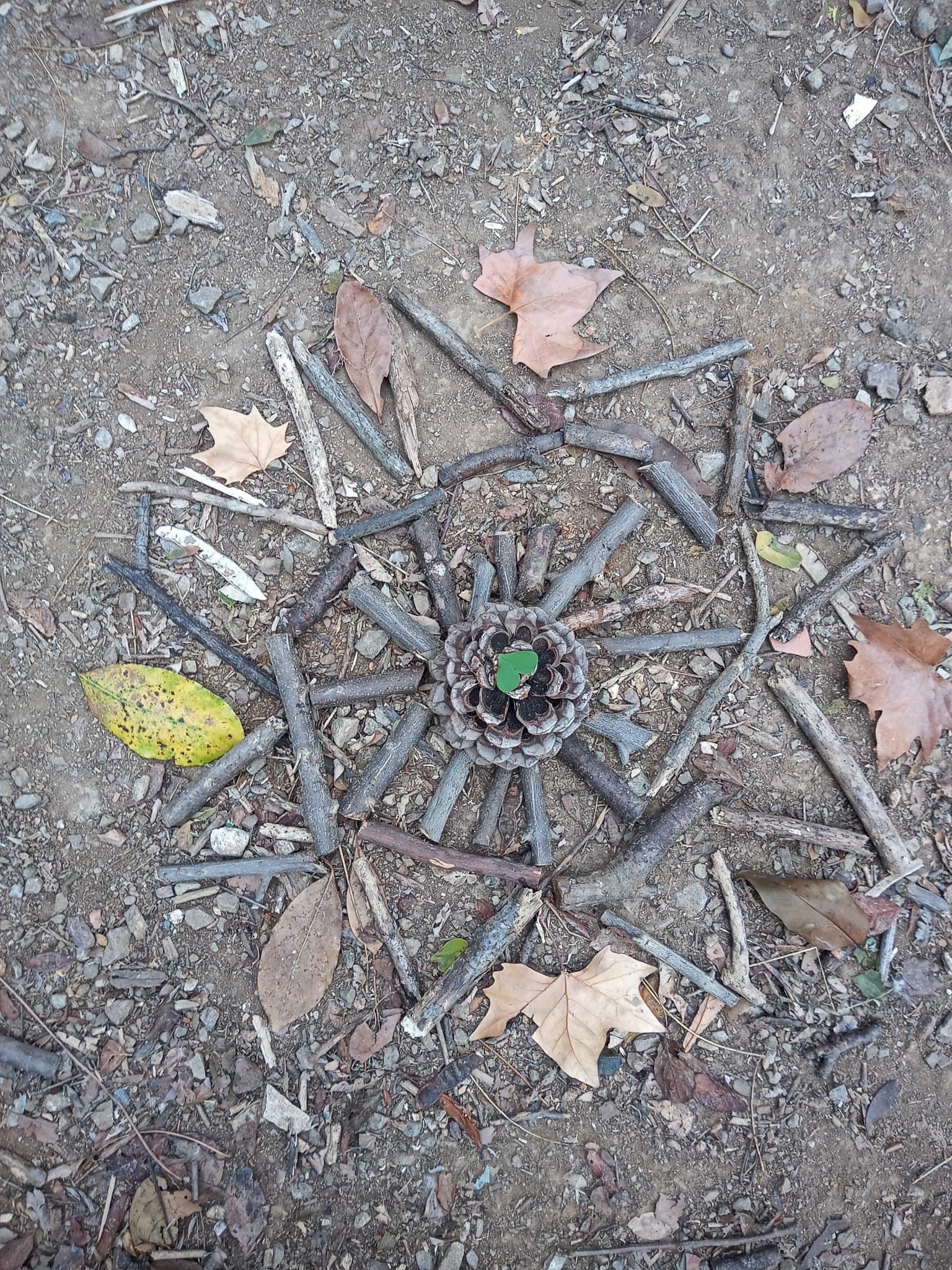 WhatsApp Image 2024-06-04 at 15.56.13