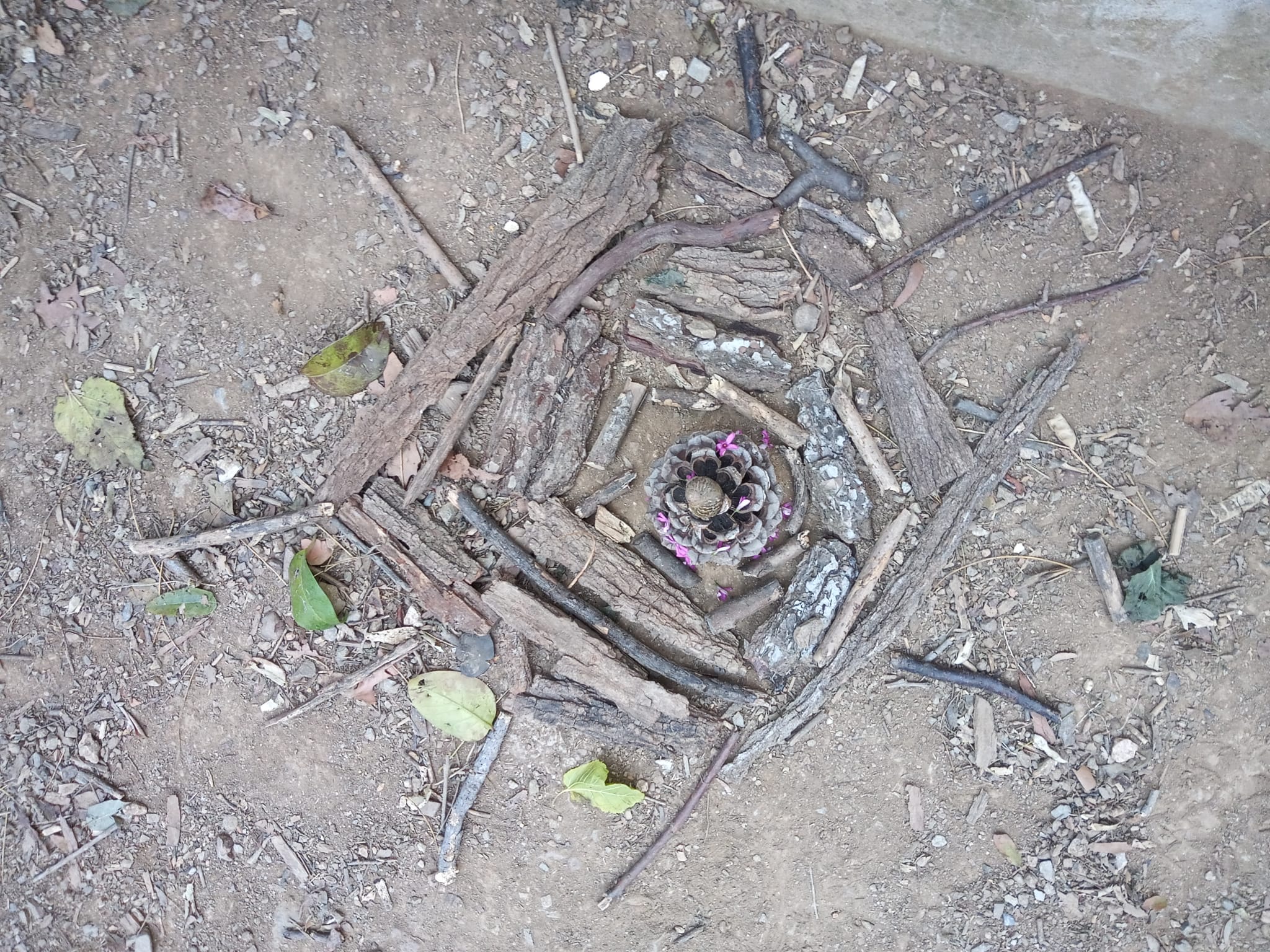 WhatsApp Image 2024-06-04 at 15.56.14 (1)