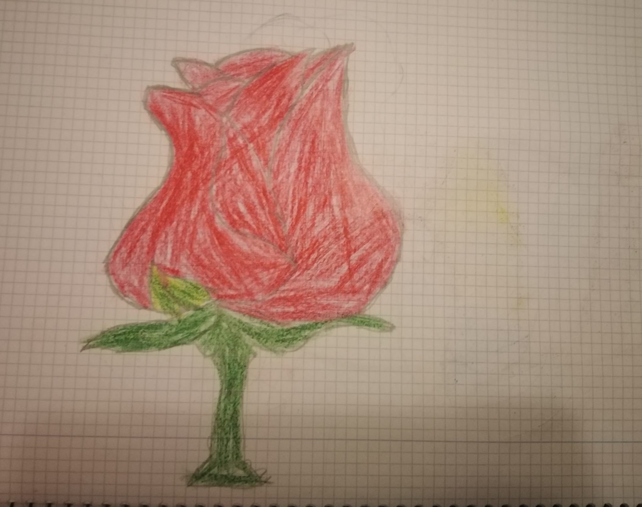 WhatsApp Image 2020-05-04 at 21.05.41