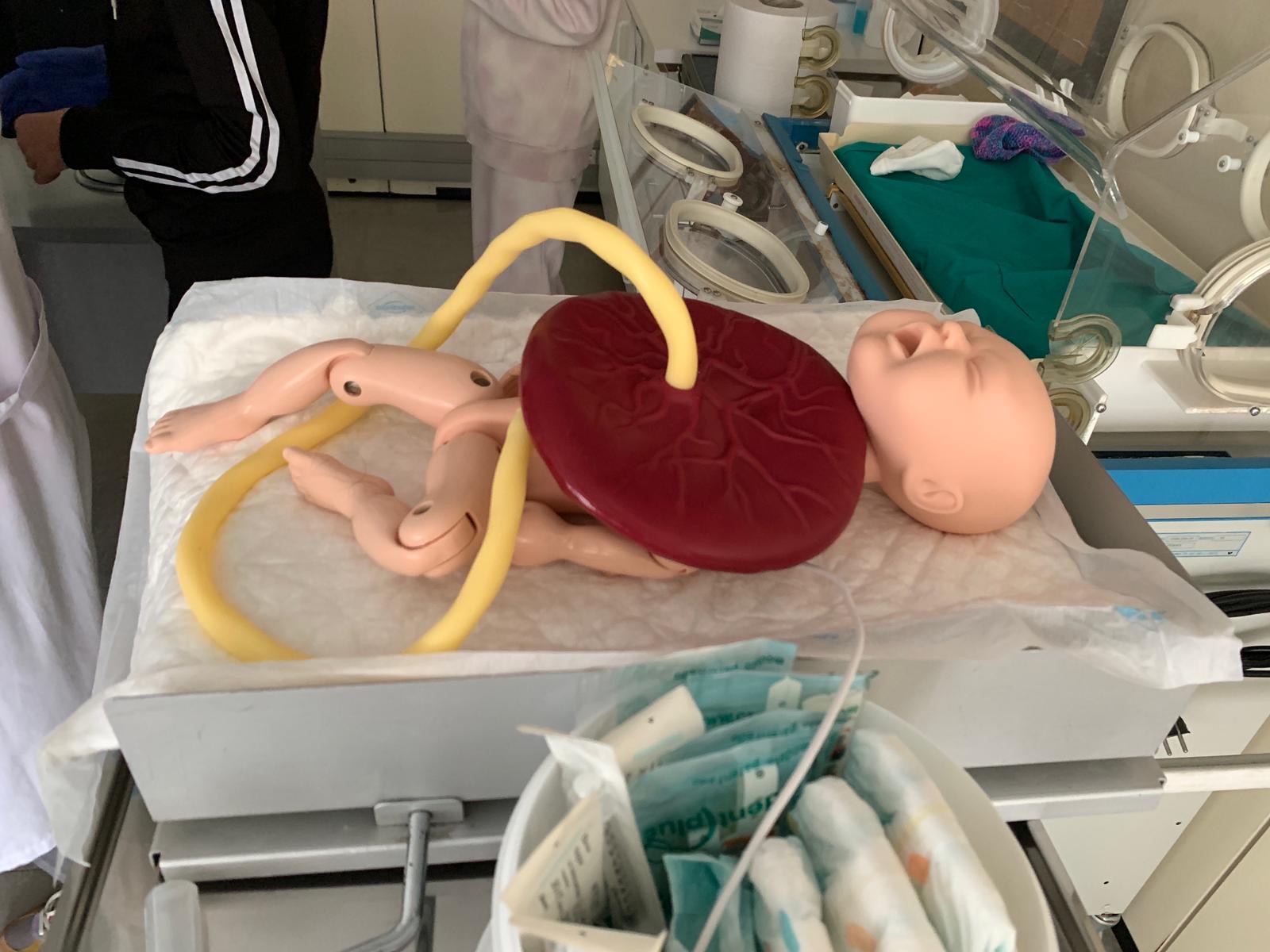 04bd9343-0ede-468c-92df-1fec4c01623f