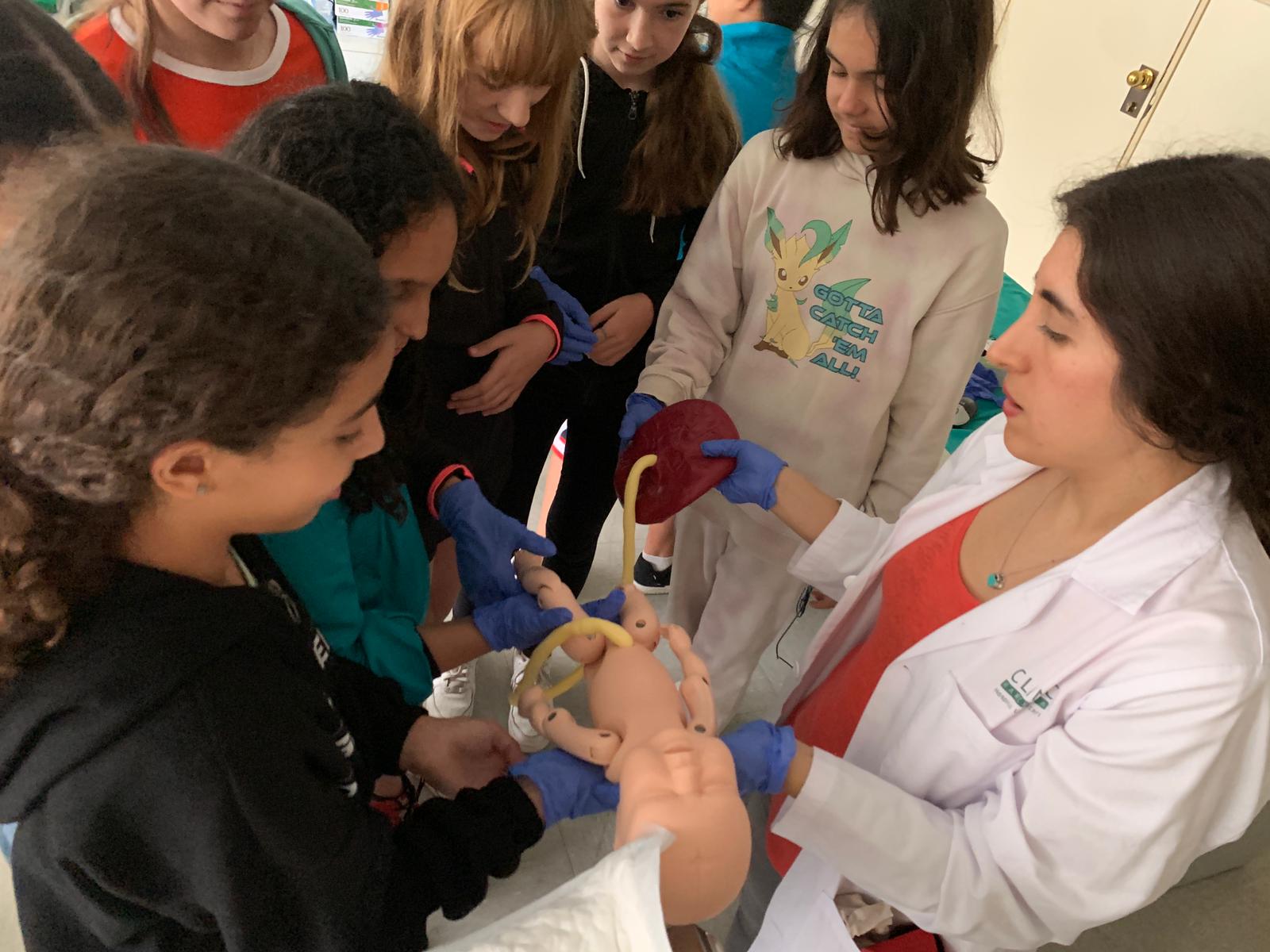 610e23cd-6372-4ec0-ac7b-17c8ef3a5c68