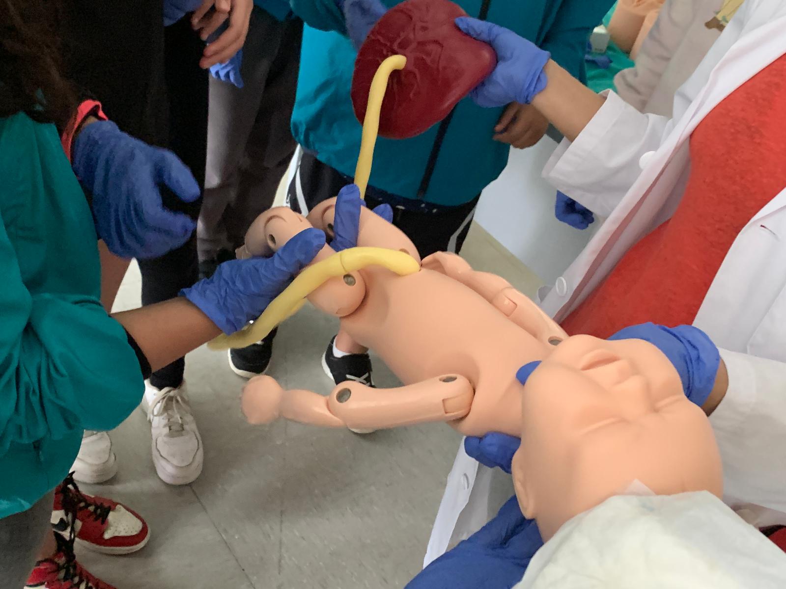 a13177ad-8228-44f9-9f9e-2b275f35590d