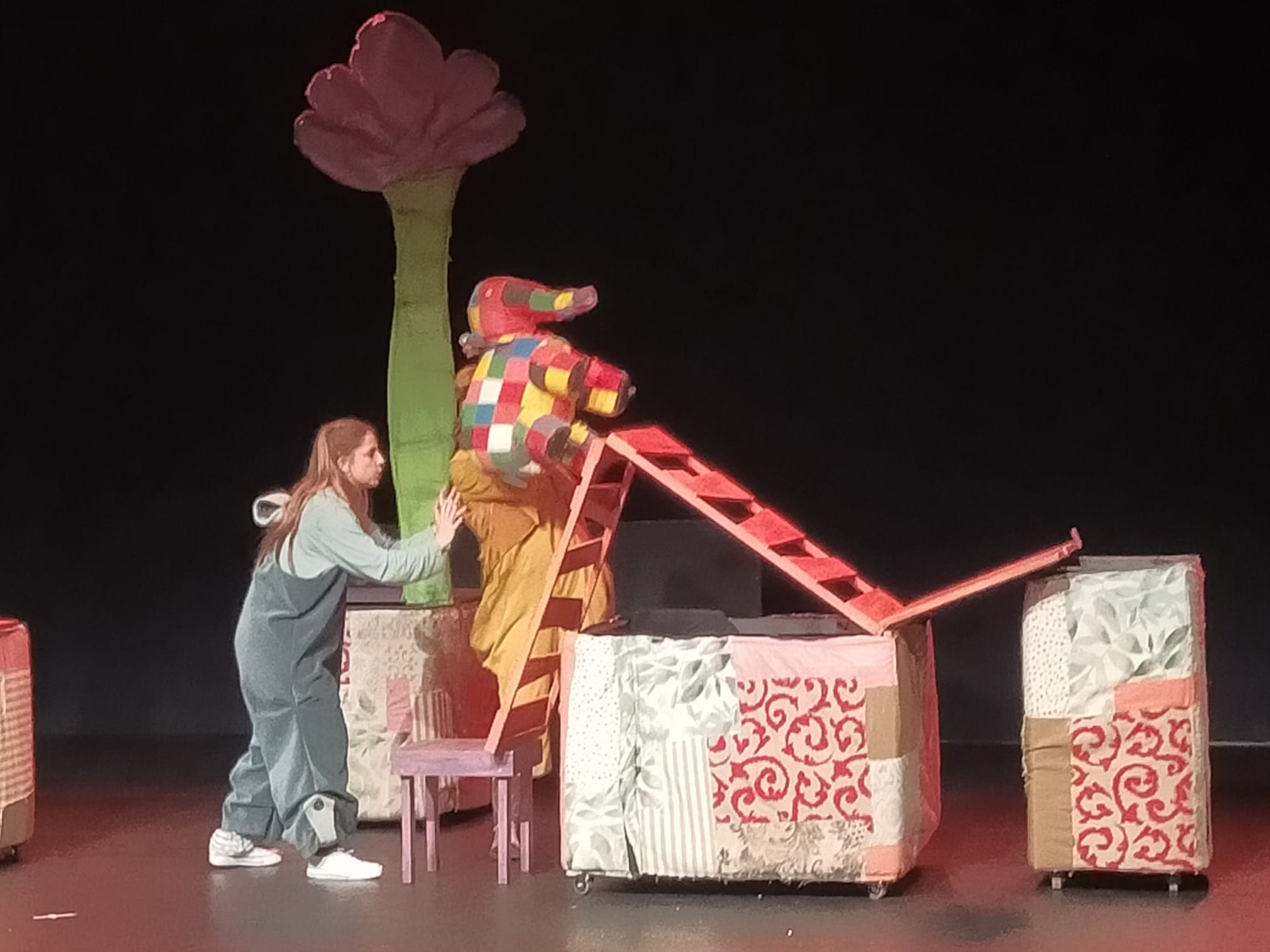 IMG-20241114-WA0003 (2)