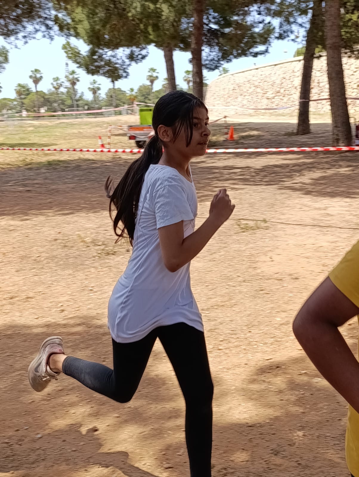 de8a7ae5-24ee-4457-bad9-c3749d991511