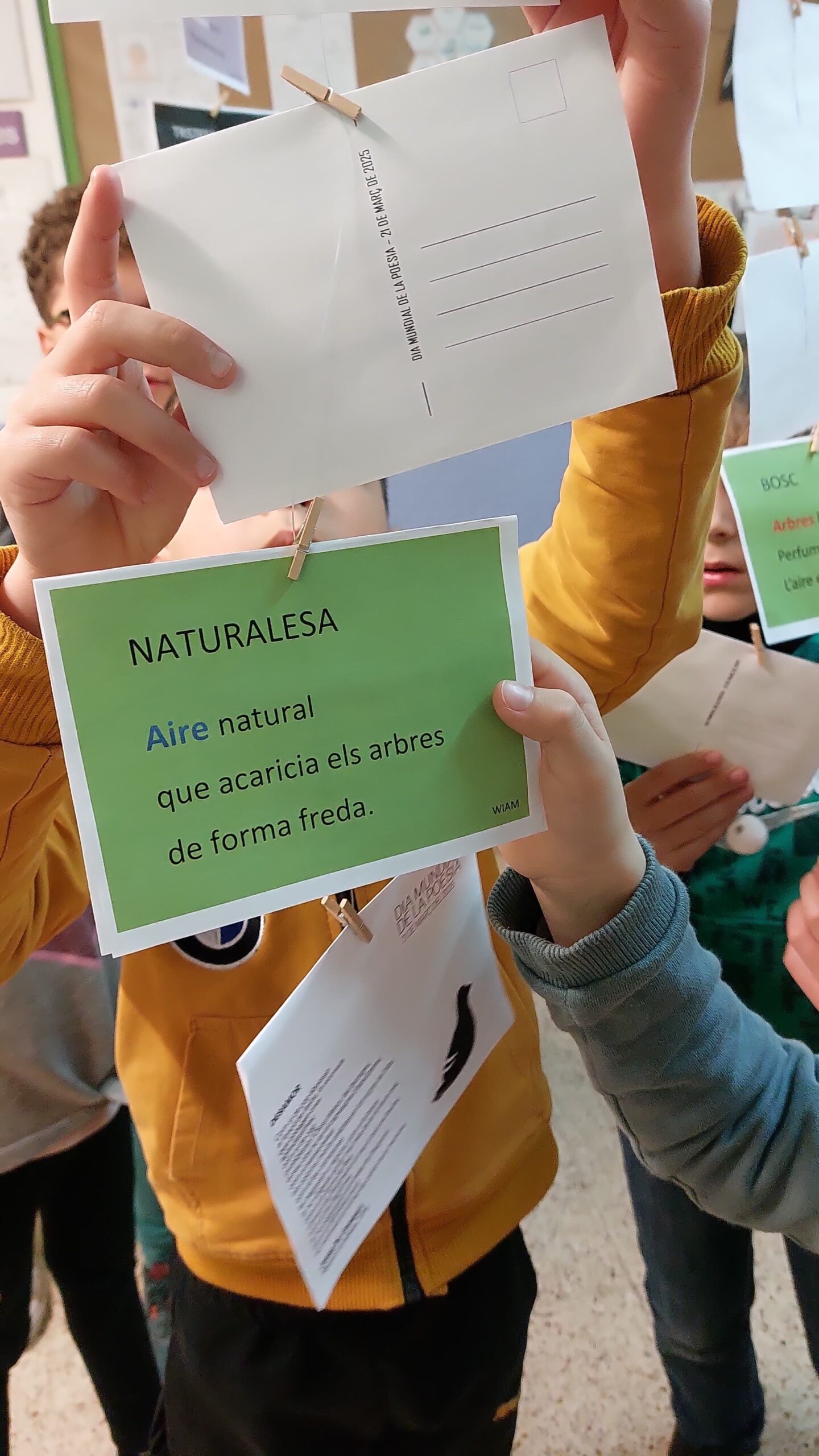 2e47b177-e55c-475e-8c03-00570655589f