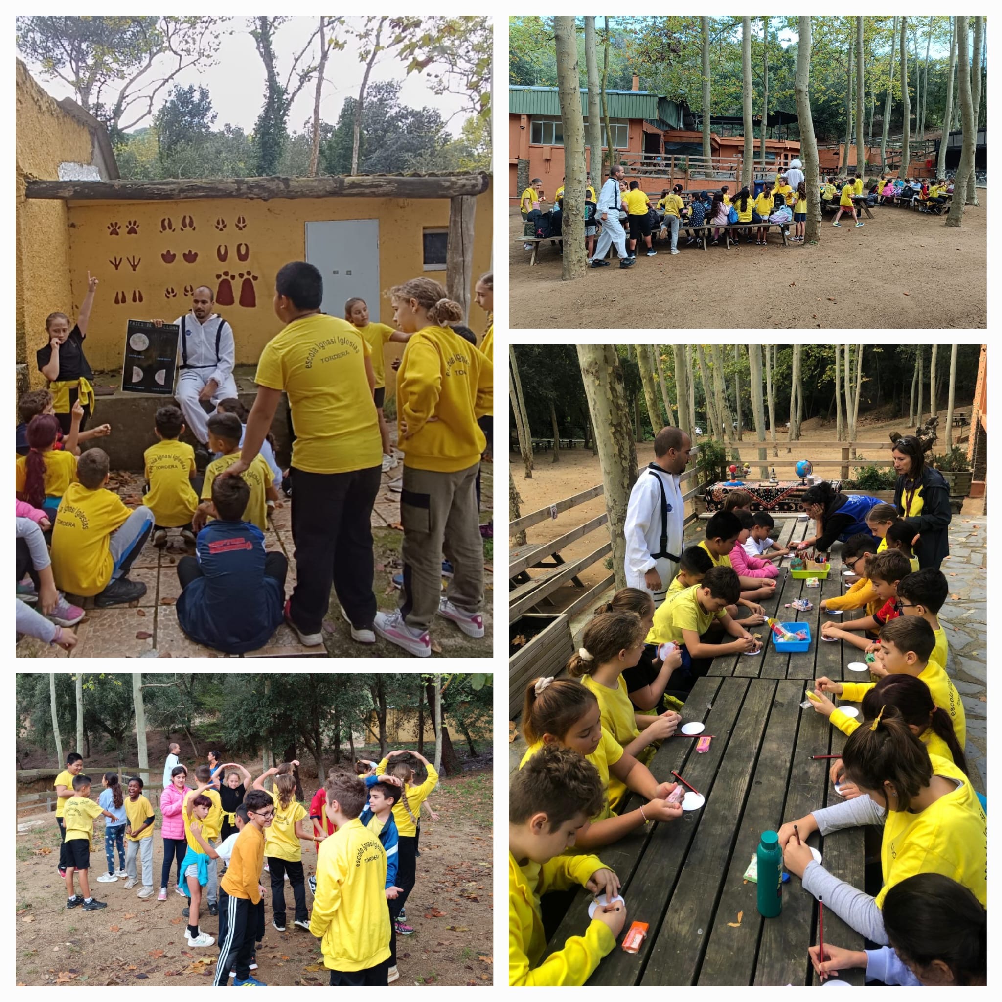 0b4cf5a6-dc11-4e10-a973-a942f36afadf