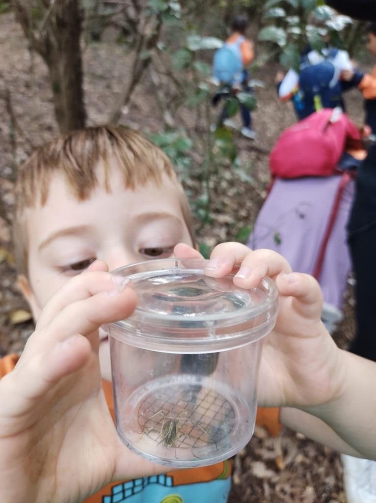 IMG_20241022_115252220