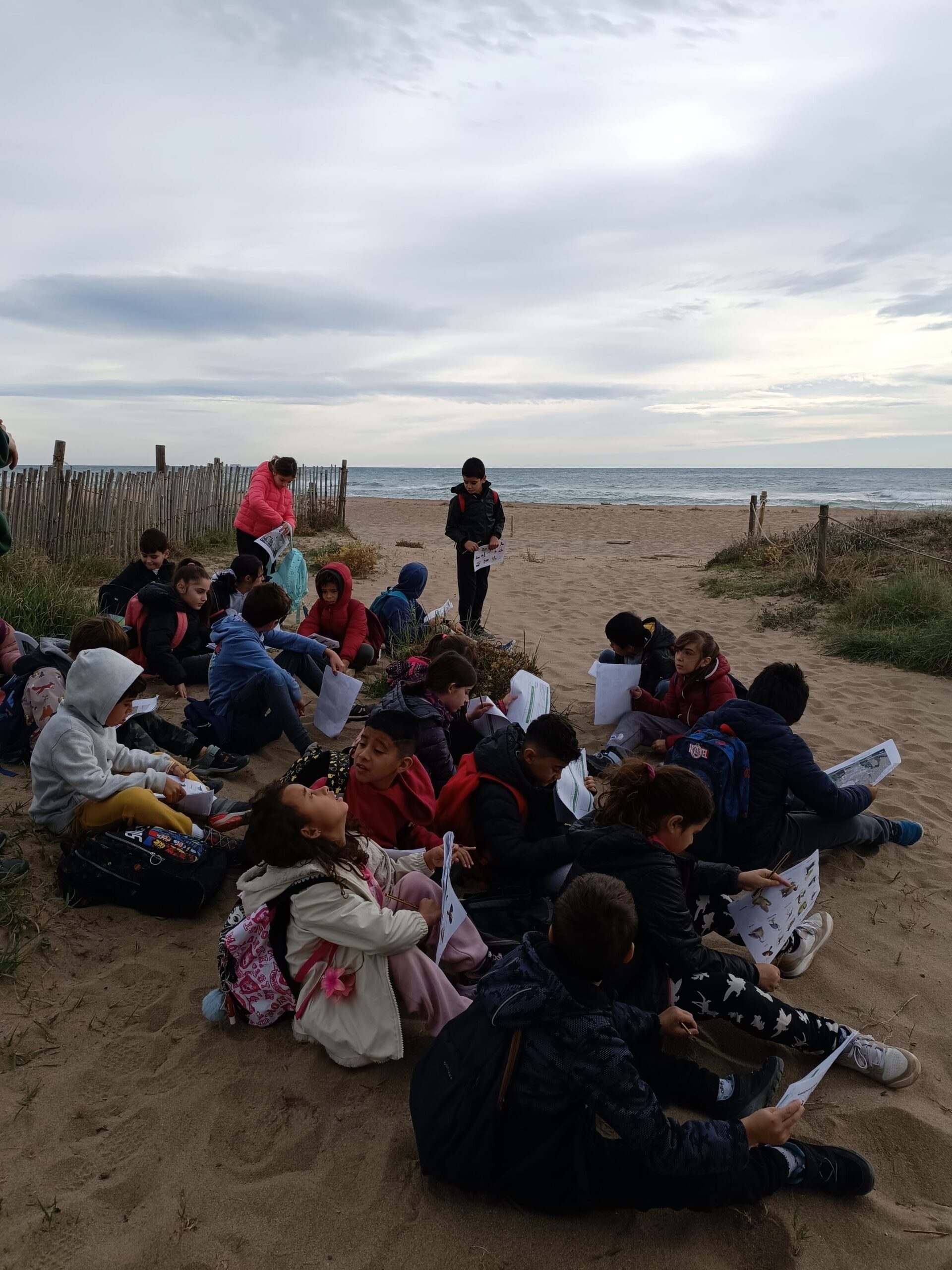 1732535039315-min[1]