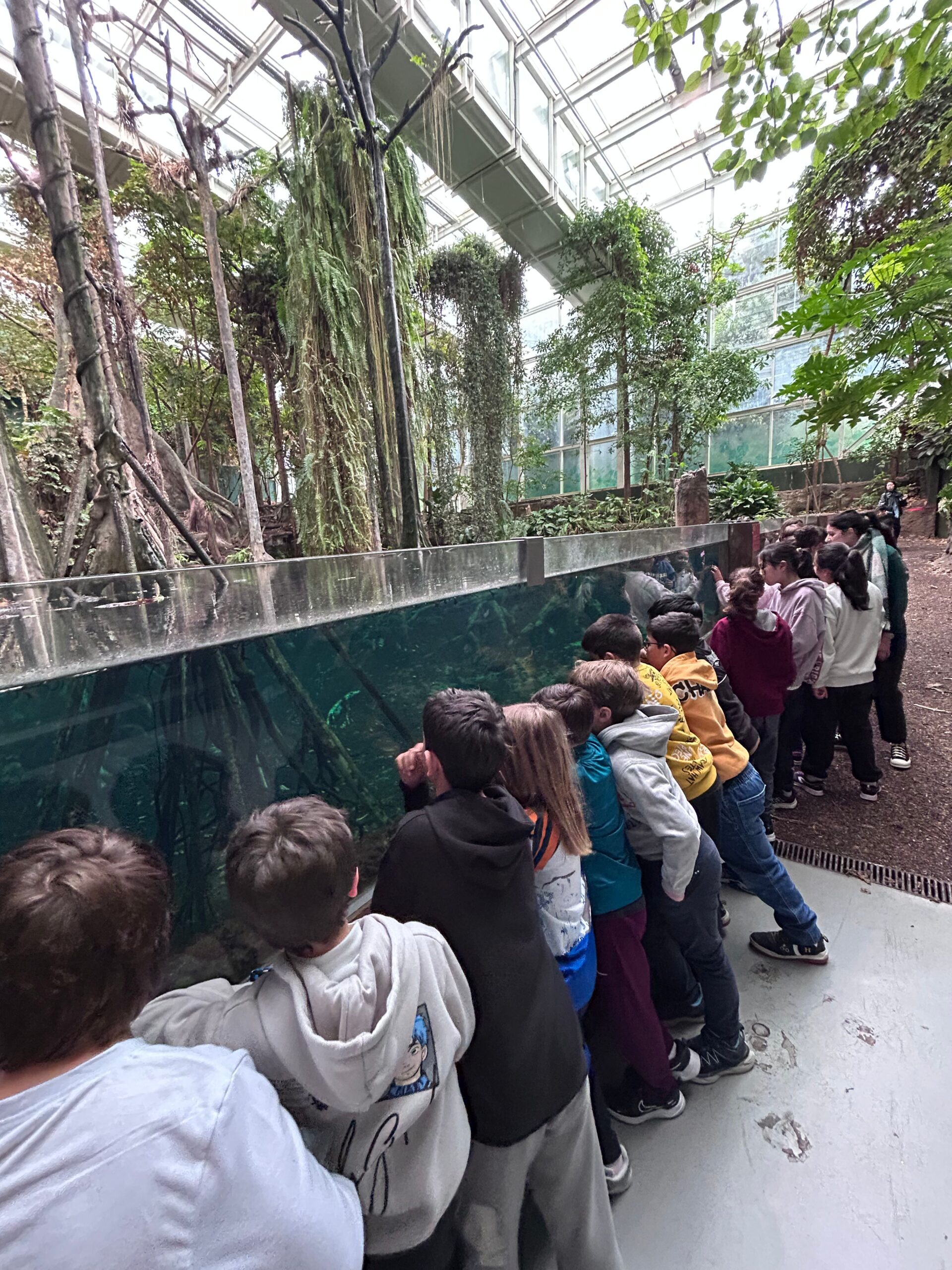 Diseño sin título-2