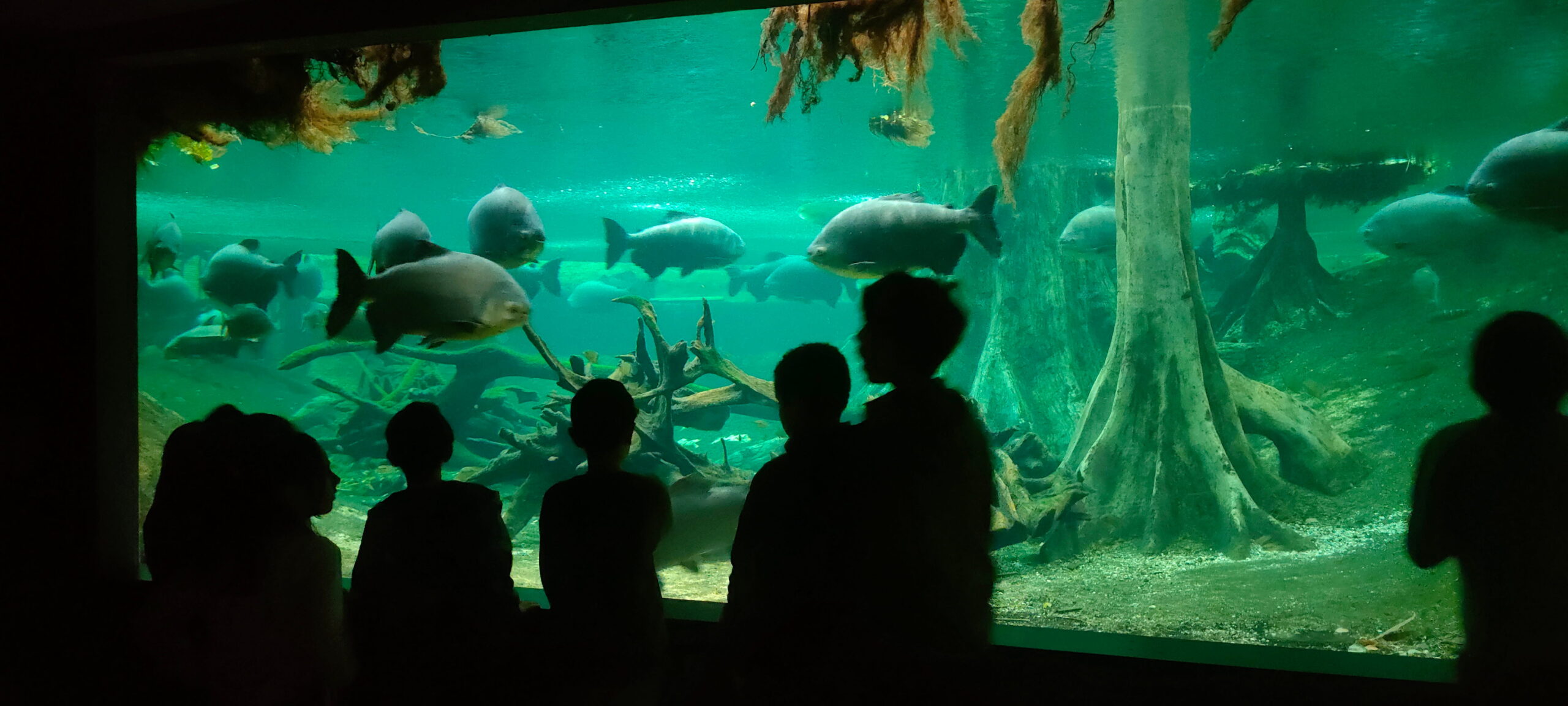 IMG20260119123138 (1)