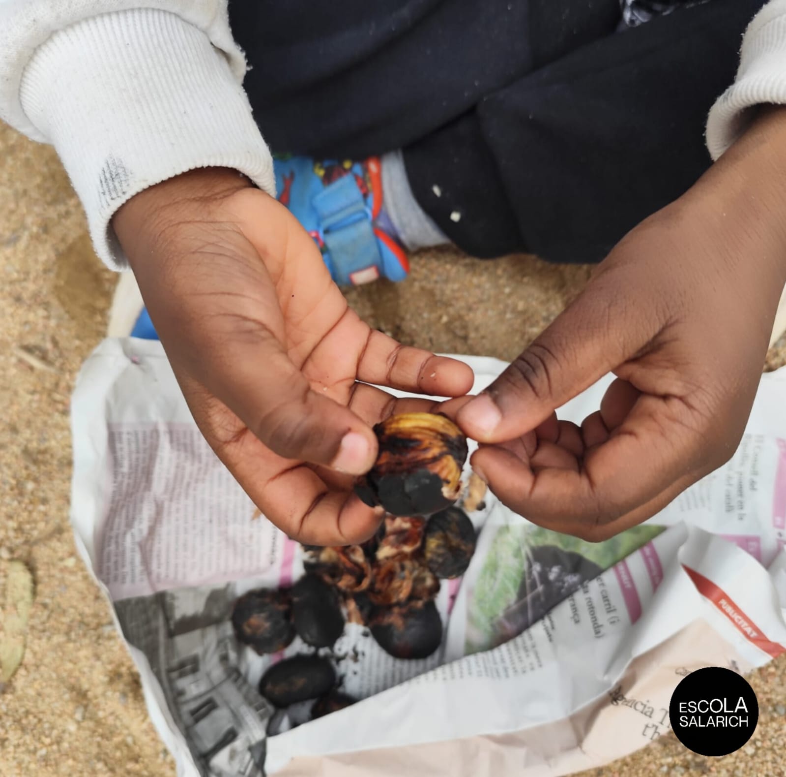 WhatsApp Image 2025-11-05 at 16.31.27 (1)