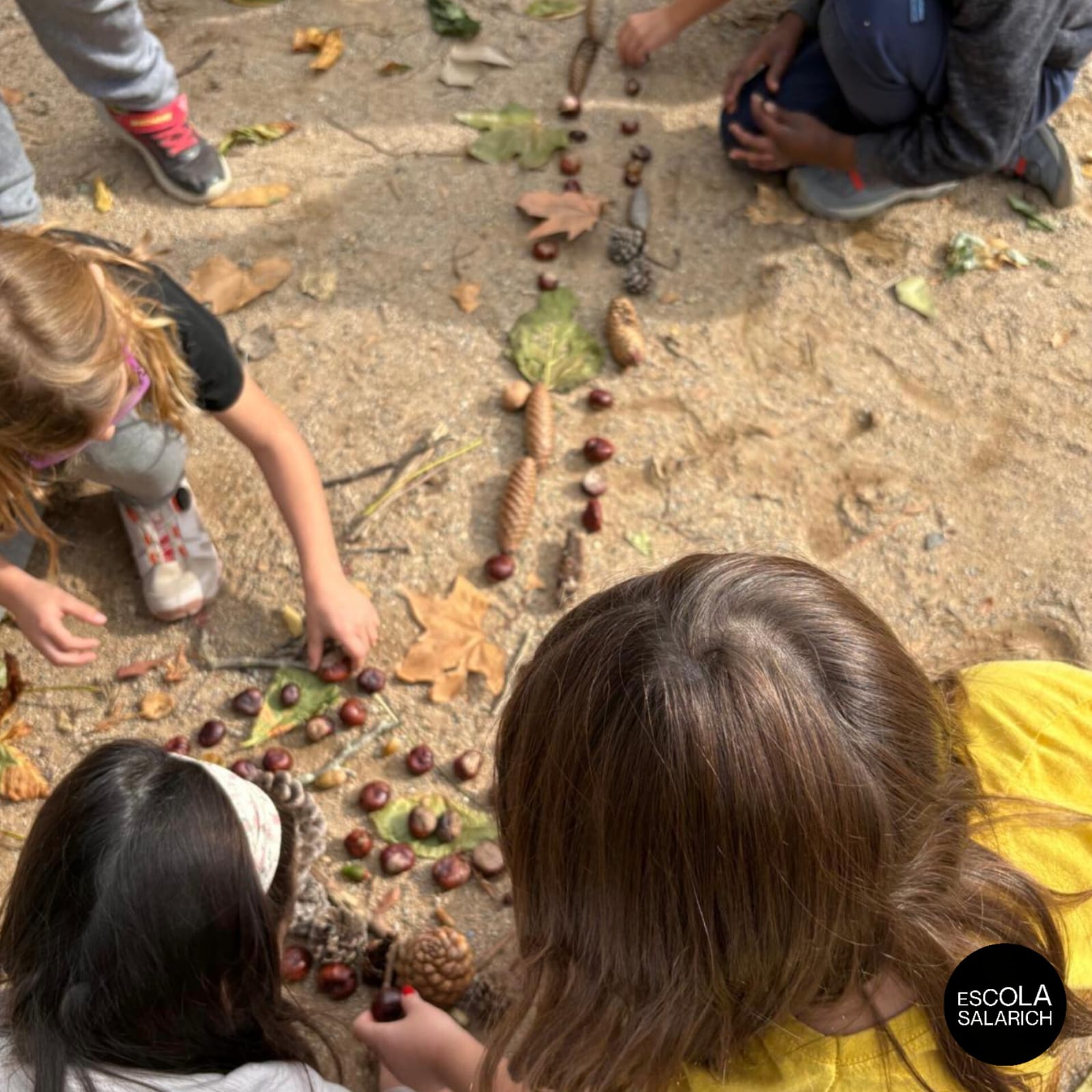 WhatsApp Image 2025-11-05 at 16.31.29