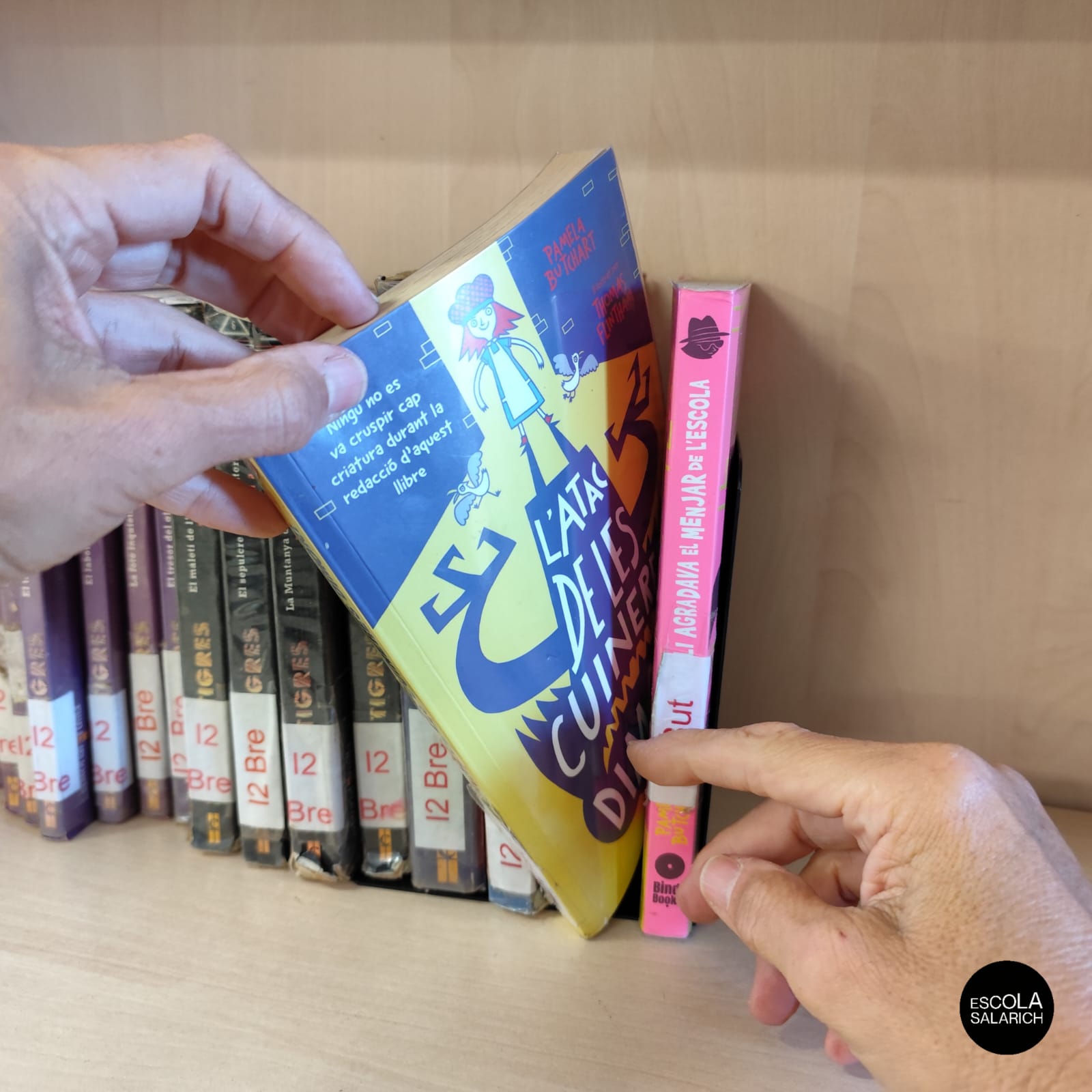 WhatsApp Image 2025-12-02 at 07.19.15 (1)