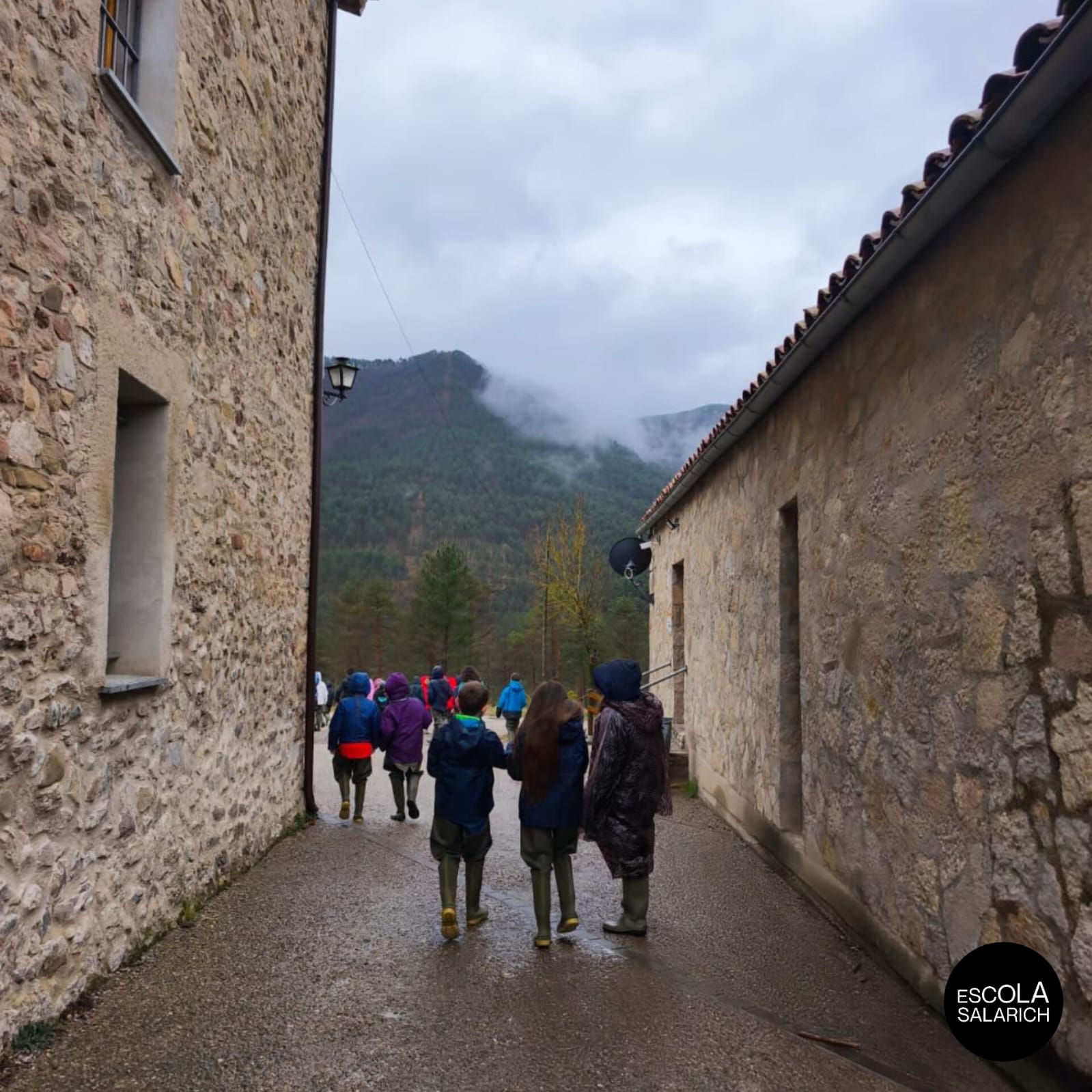 WhatsApp Image 2026-03-09 at 13.36.24 (2)