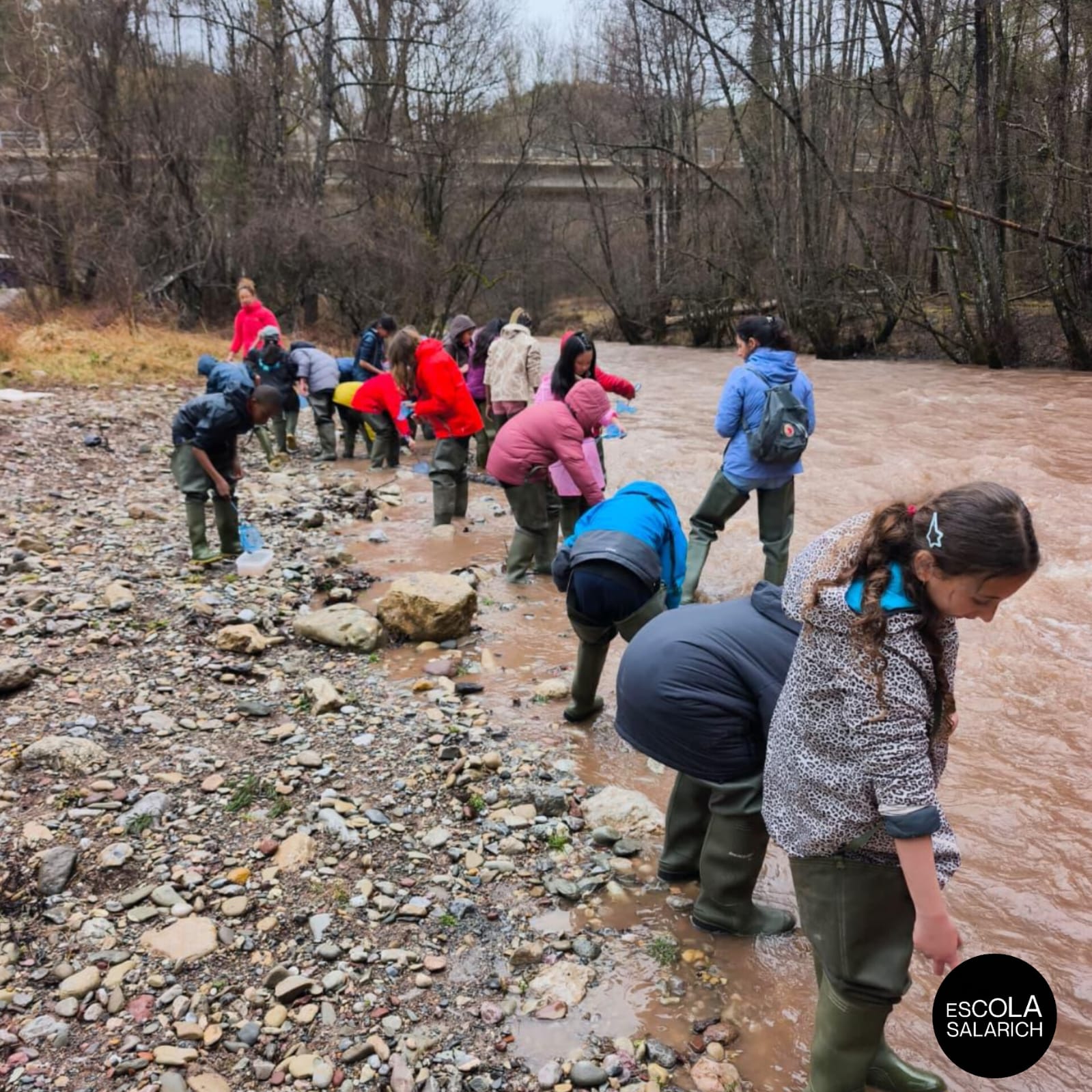 WhatsApp Image 2026-03-09 at 13.36.24 (3)