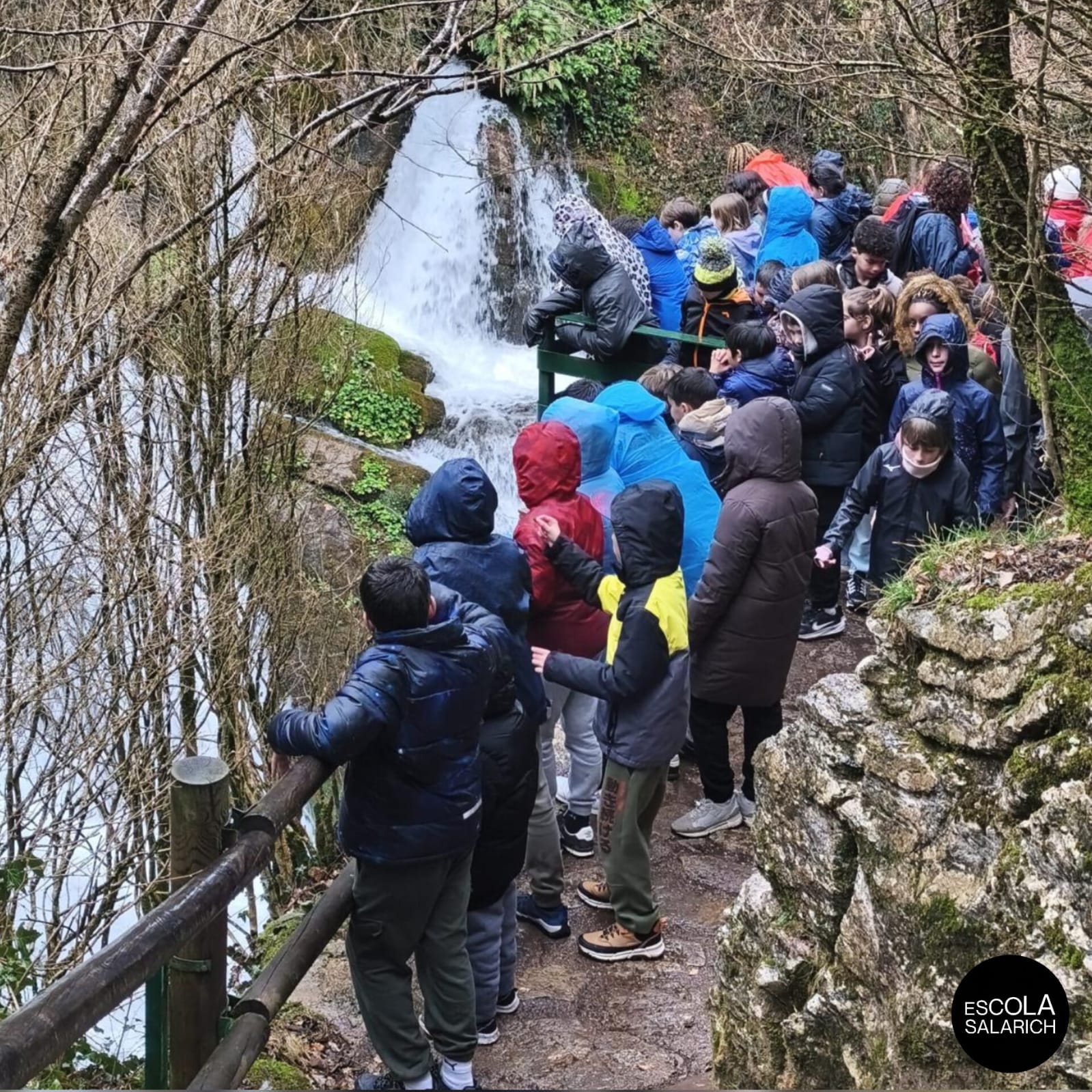 WhatsApp Image 2026-03-09 at 13.36.25 (3)