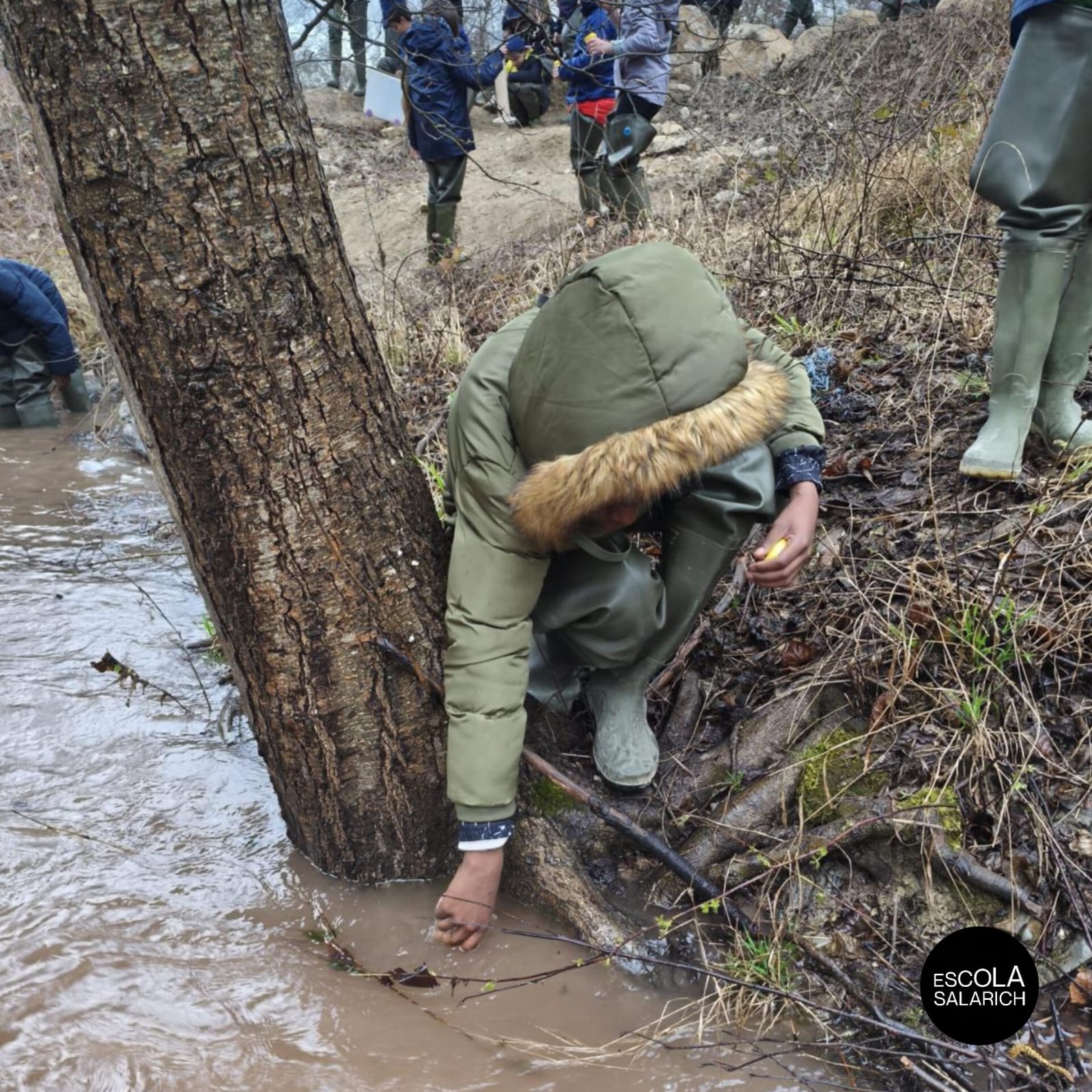 WhatsApp Image 2026-03-09 at 13.36.25 (6)