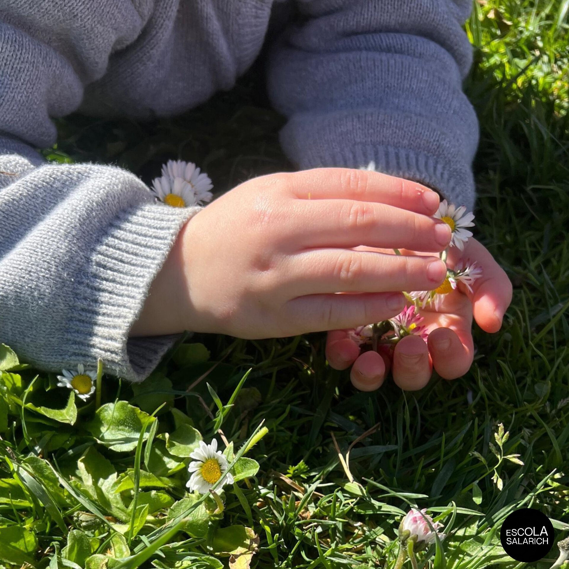 WhatsApp Image 2026-03-27 at 12.28.23 (1)