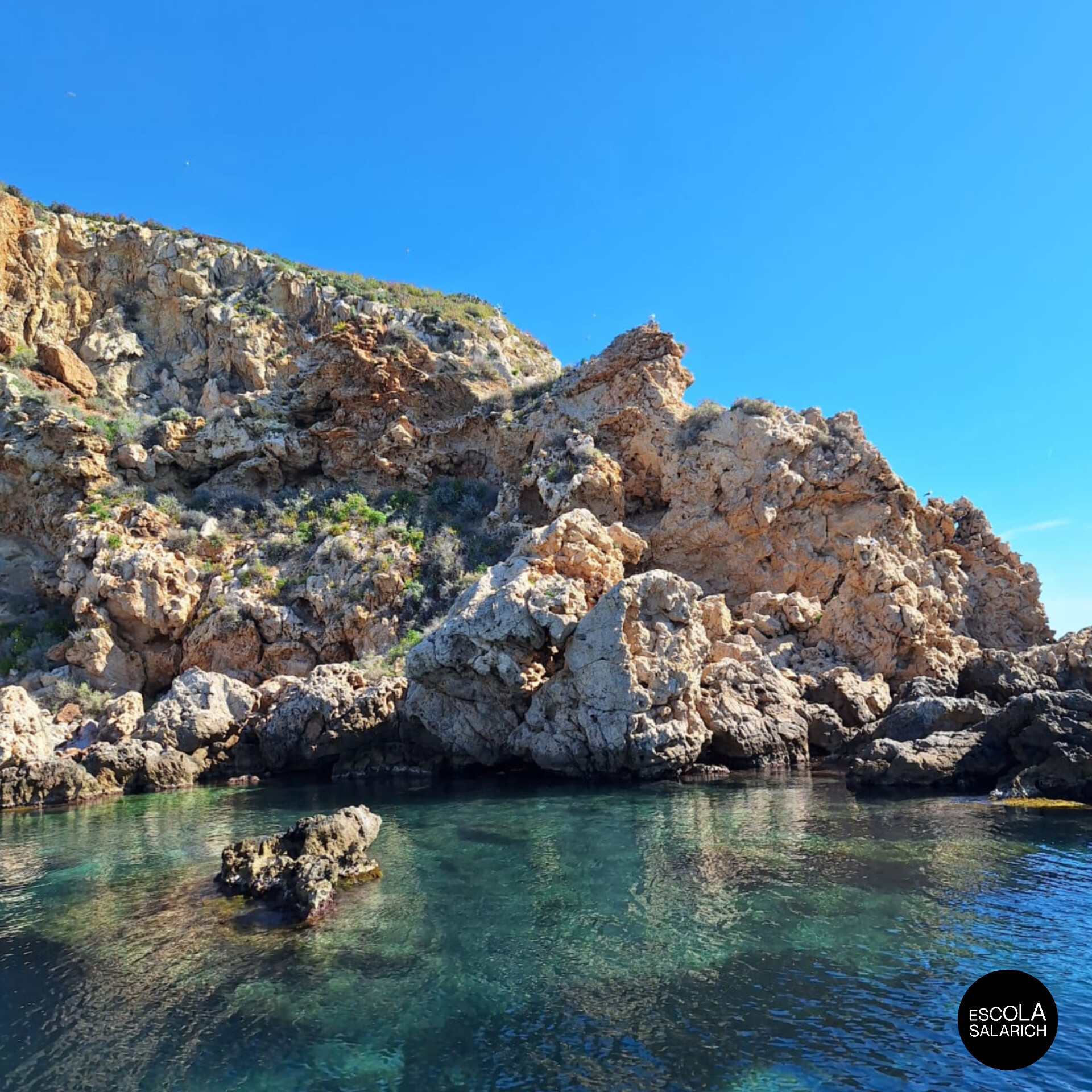 WhatsApp Image 2026-04-20 at 12.27.22 (3)