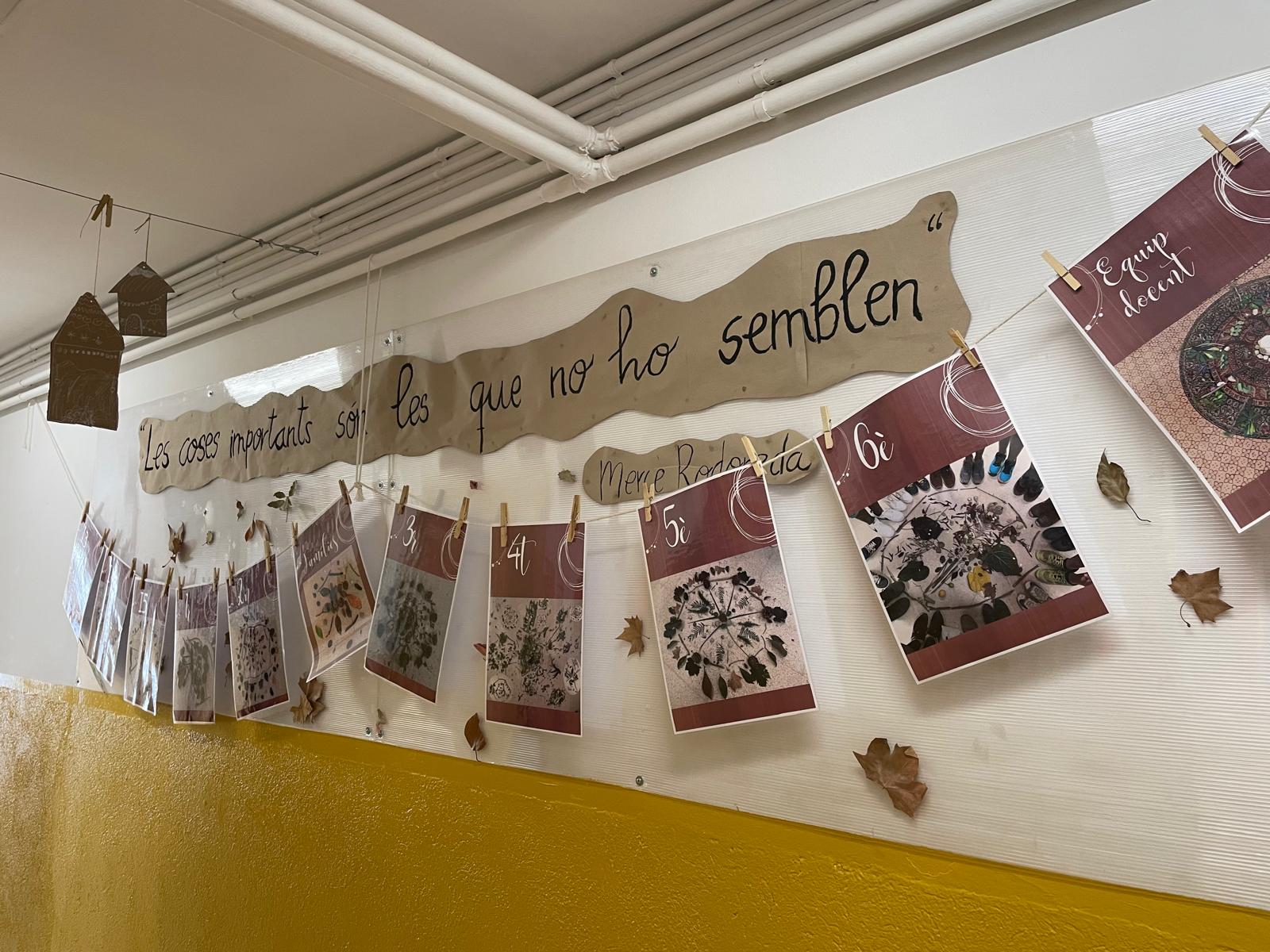 WhatsApp Image 2024-04-15 at 12.49.21(2)