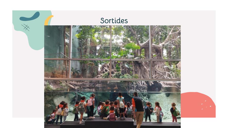 Portes obertes Reunió famílies 2023 (28)