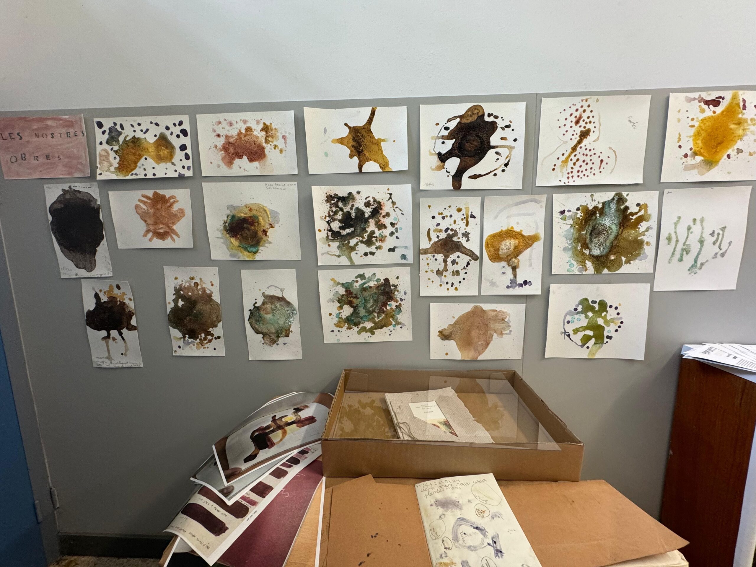 WhatsApp Image 2024-11-01 at 10.22.22