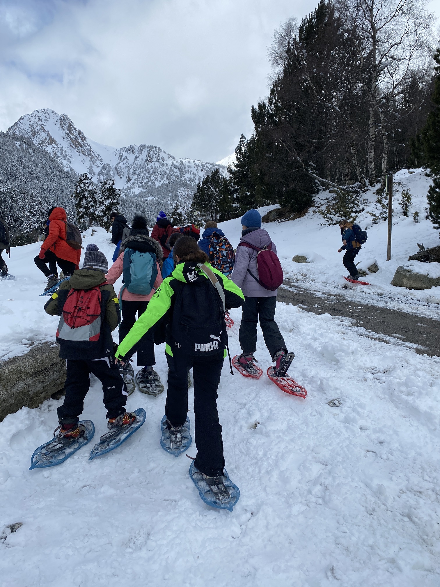 Excursió amb raquetes