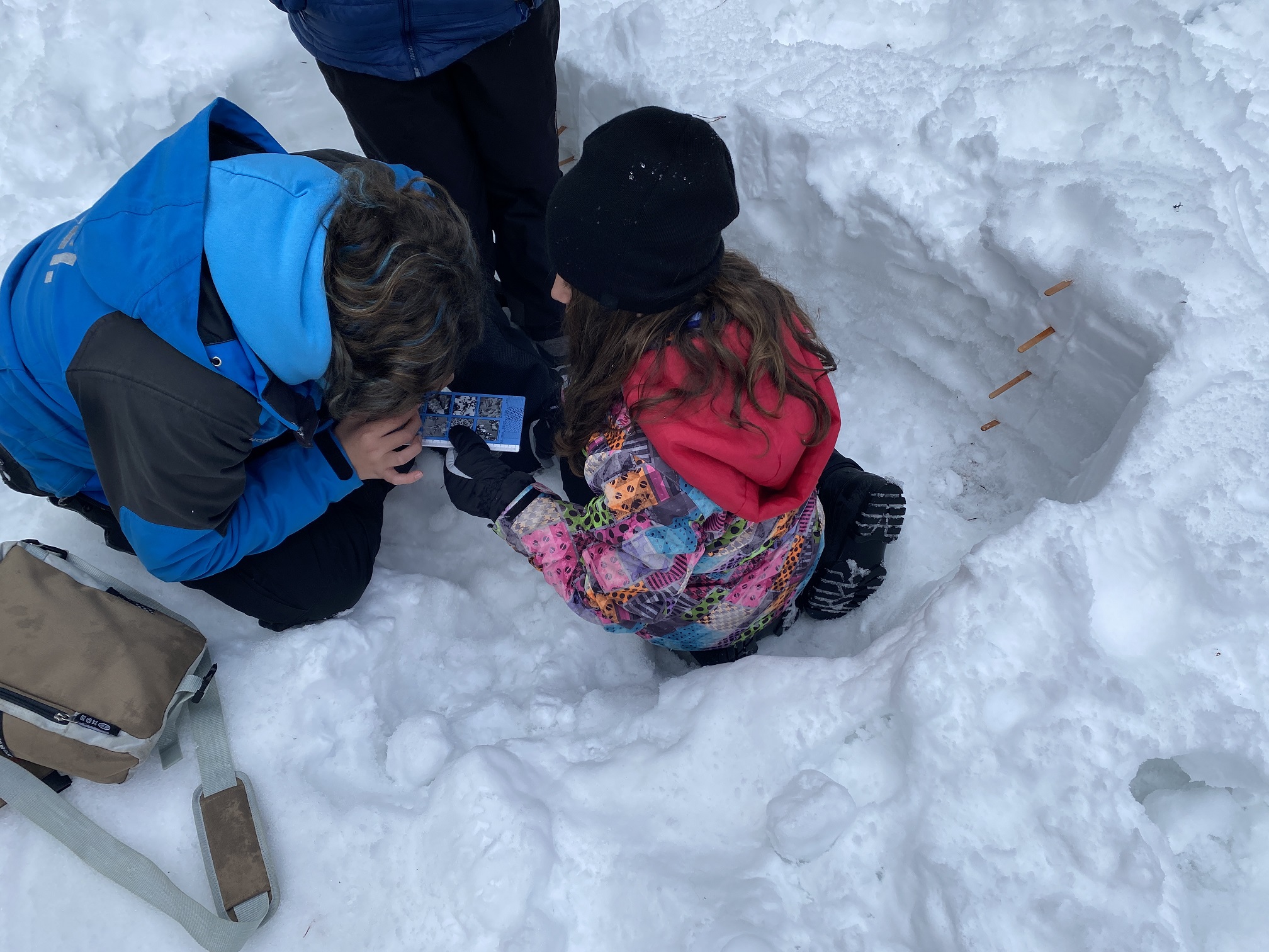 Observació dels grans de neu