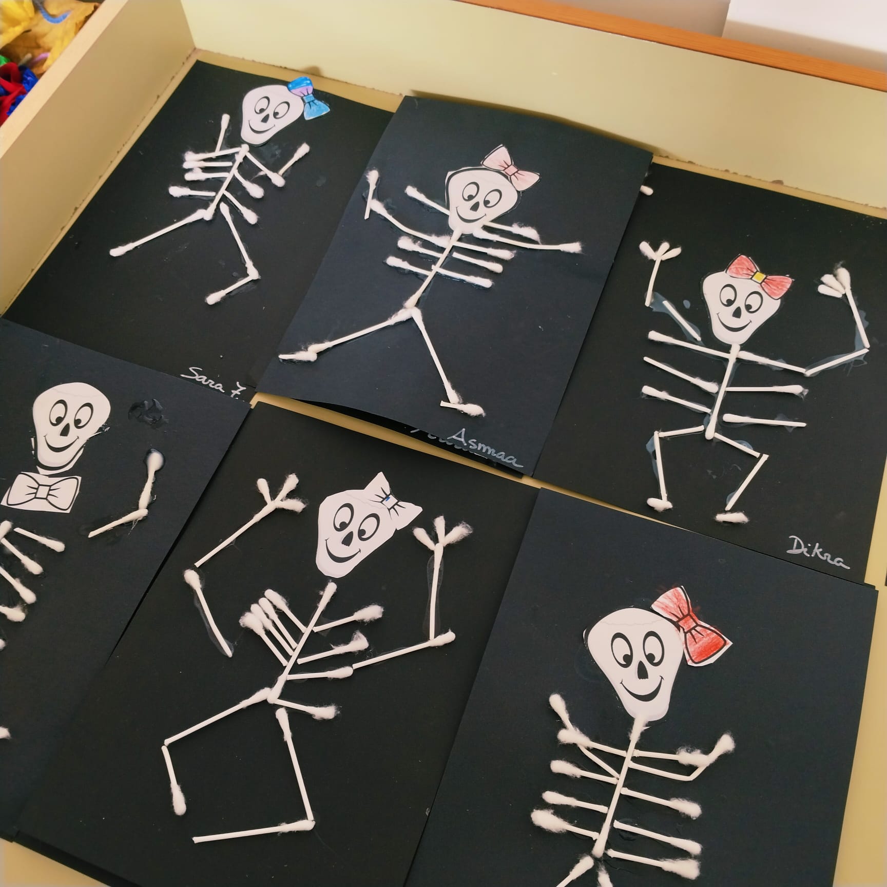 WhatsApp Image 2024-10-24 at 18.35.45 (1)