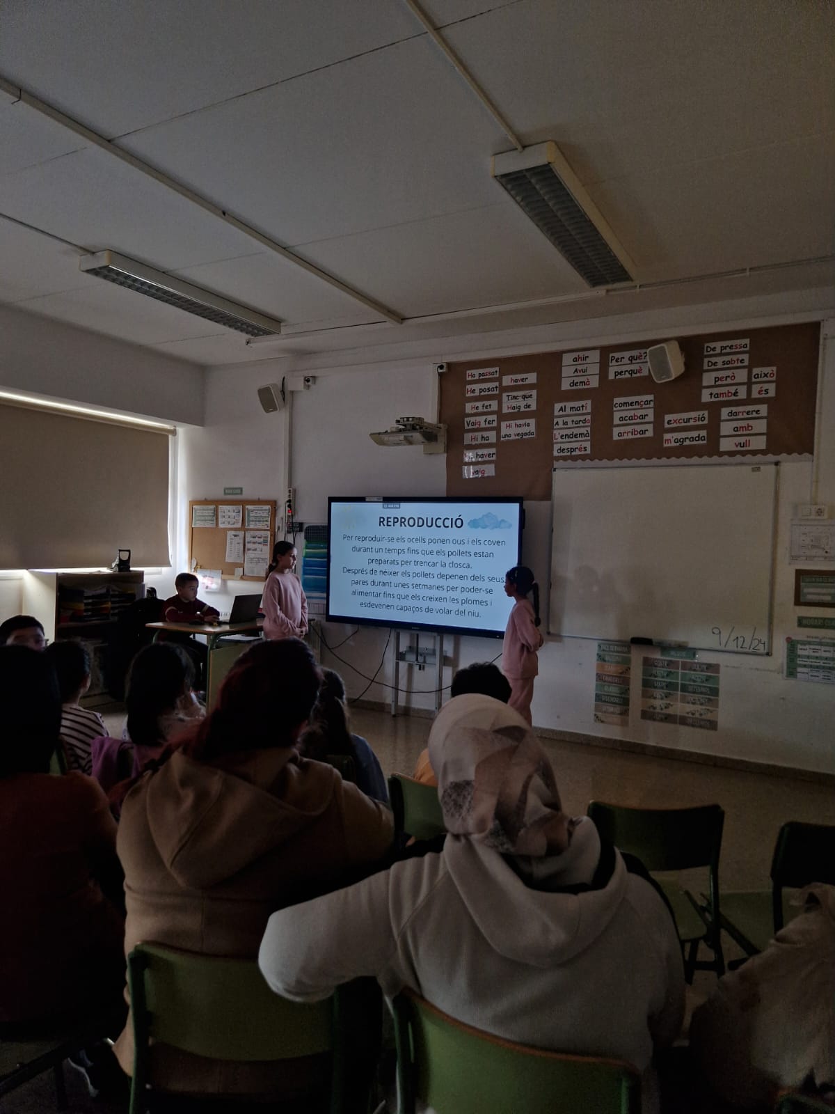 PHOTO-2024-12-10-14-23-40 (1)