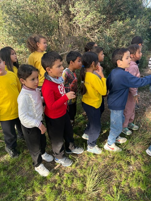 PHOTO-2024-12-10-14-26-28