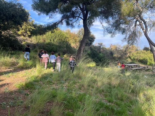 PHOTO-2024-12-10-14-33-46 (1)