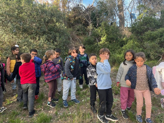 PHOTO-2024-12-10-14-33-47