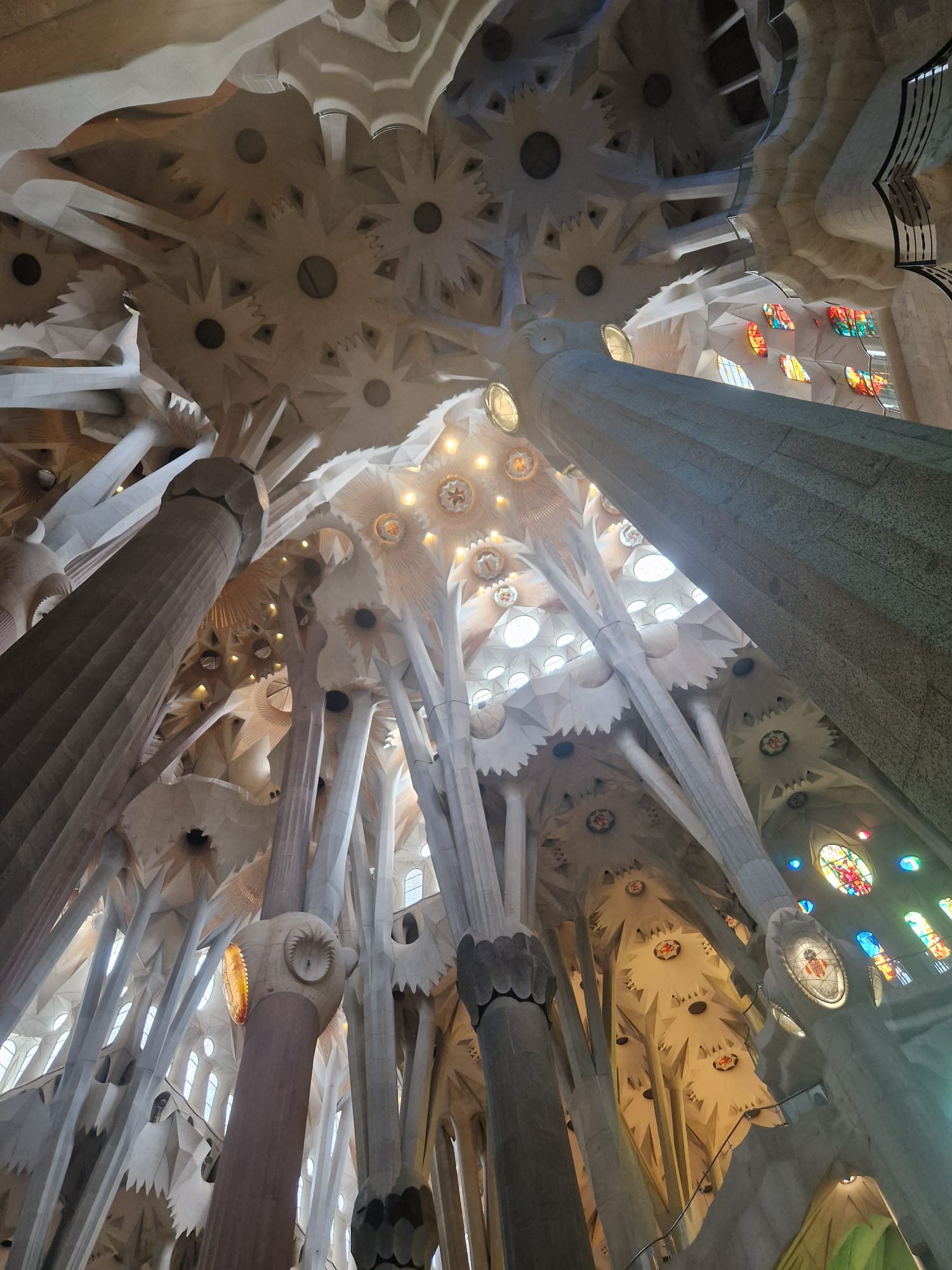 PHOTO-2025-01-21-17-08-44 (2)