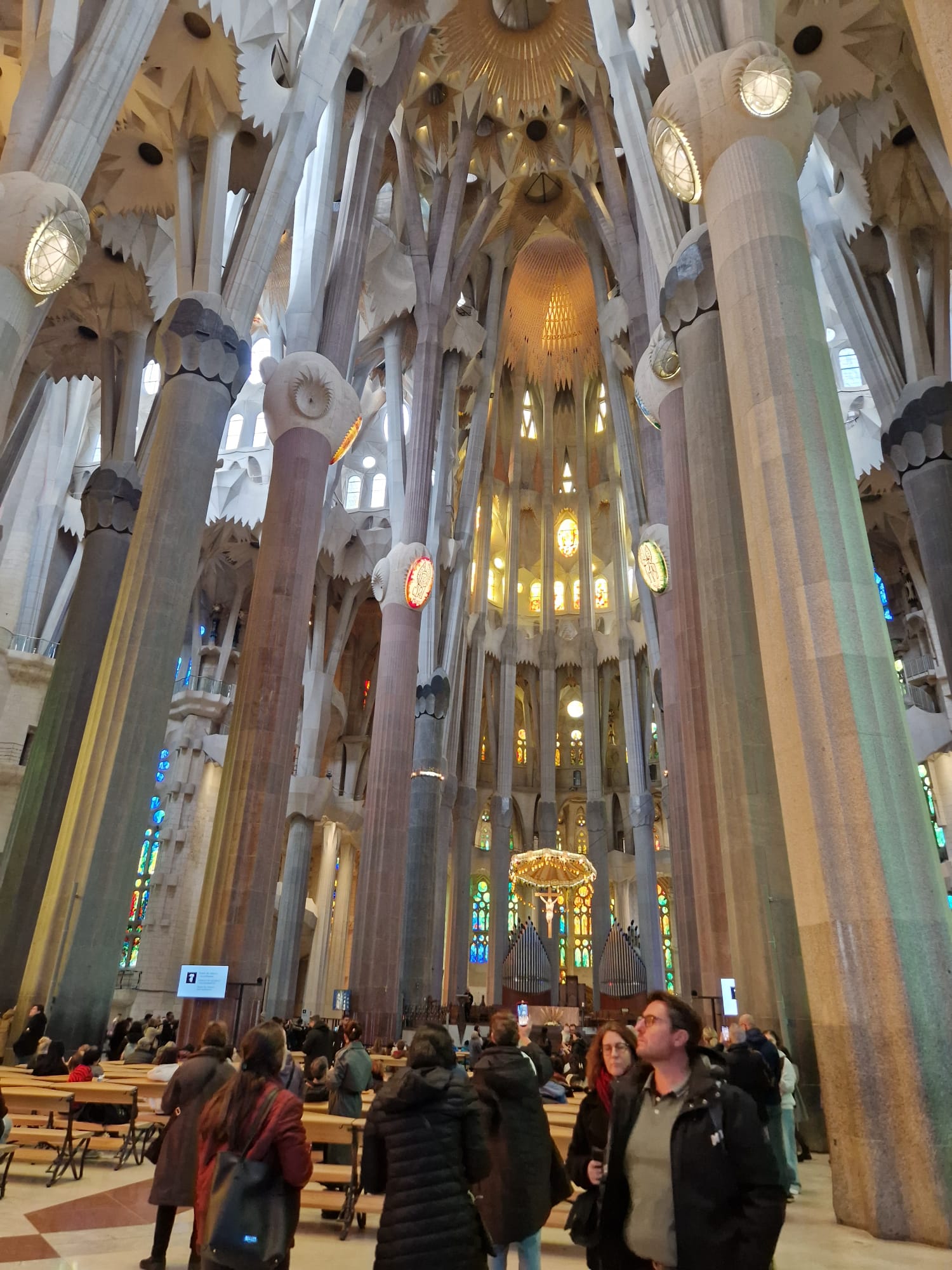 PHOTO-2025-01-21-17-08-46