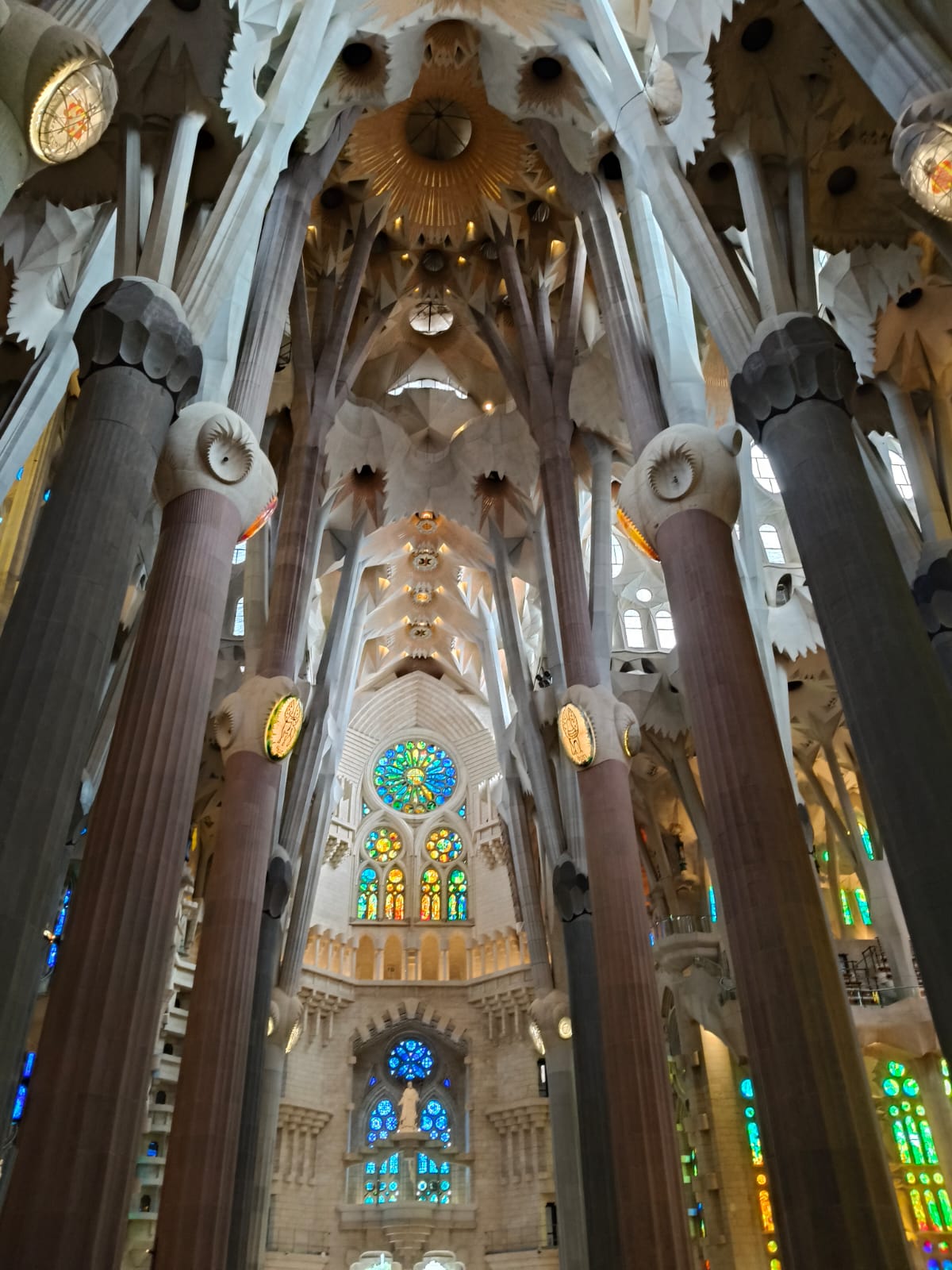 PHOTO-2025-01-21-17-37-27 (1)