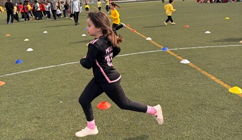 1a72e21d-ad51-416c-a5c6-0f1853a1cb19