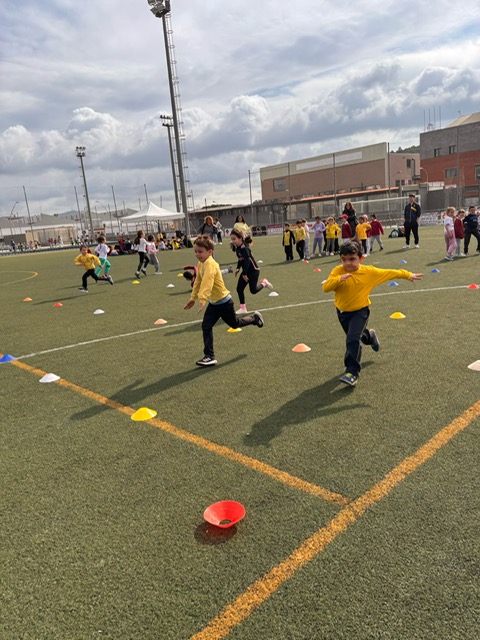 c4936a13-37b5-4724-8b4d-075ffa878894