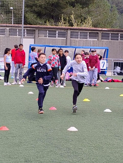 e3e38e19-5201-4962-9df5-4d2c9fc7f4ff