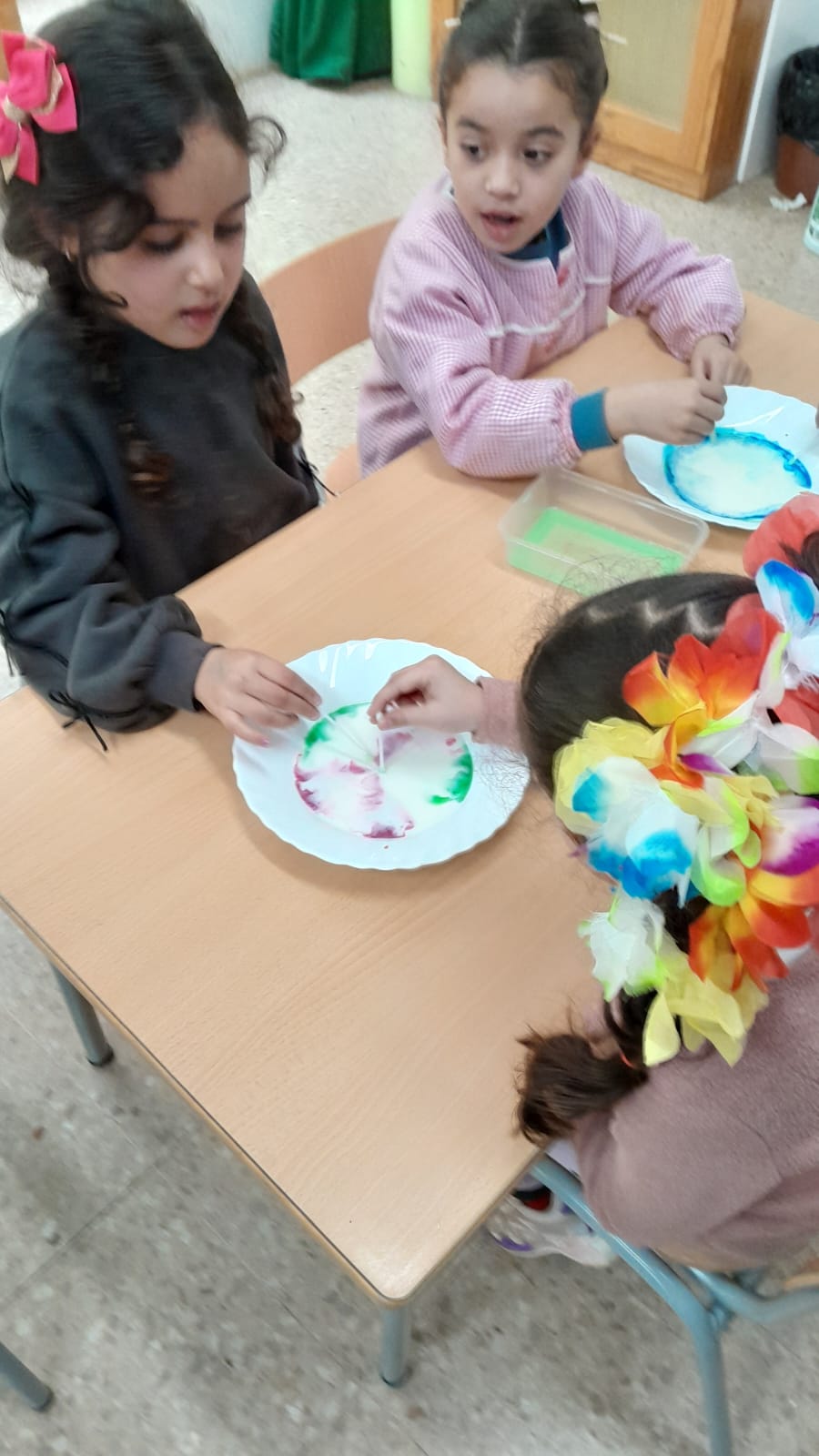 PHOTO-2026-02-10-16-35-46