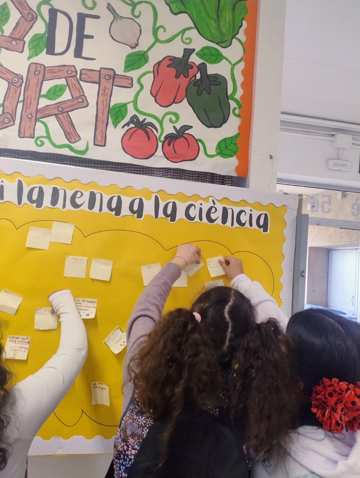 PHOTO-2026-02-10-16-36-55 (1)