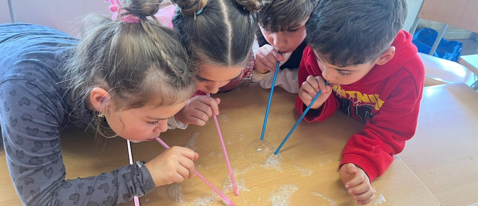 PHOTO-2026-02-10-16-52-11 (1)