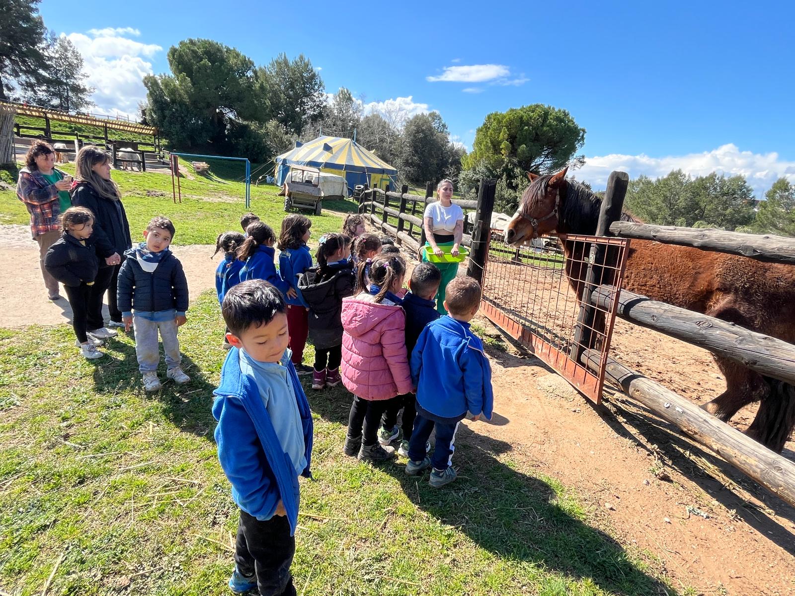 PHOTO-2026-03-13-12-53-49 (2)