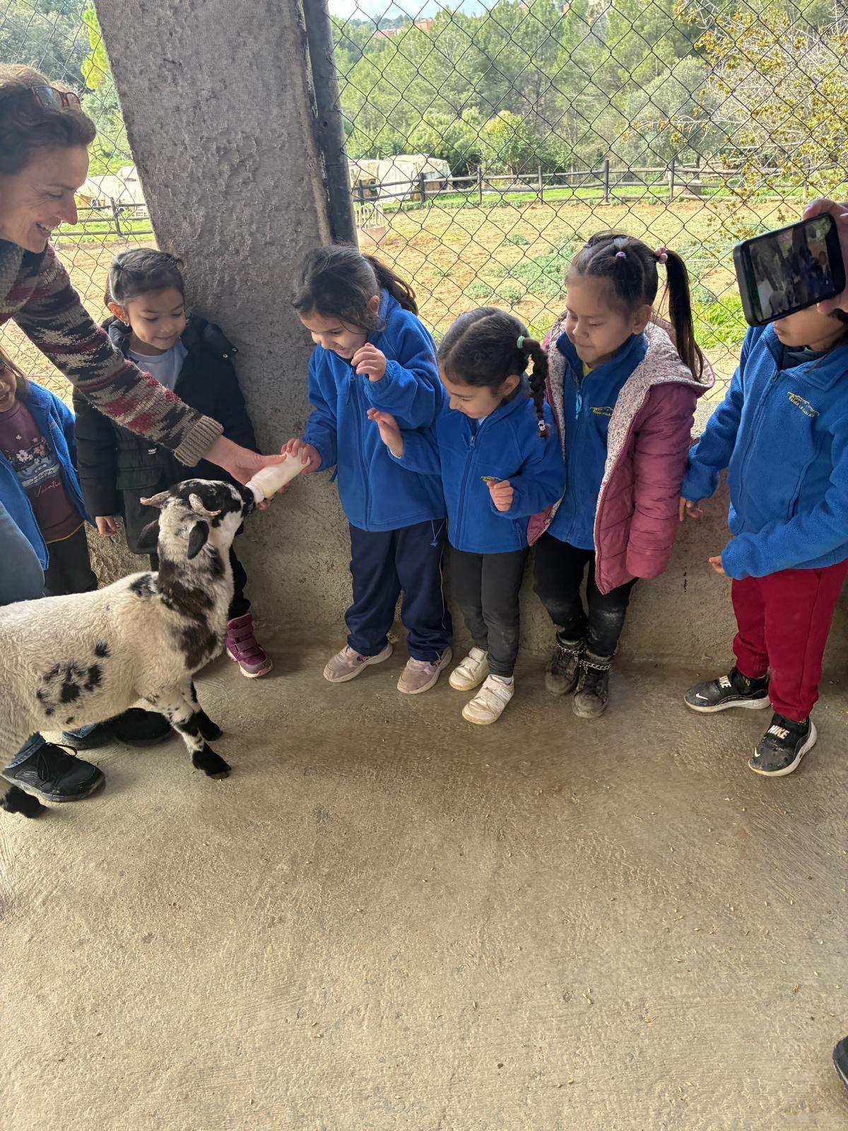 PHOTO-2026-03-13-12-53-49 (3)