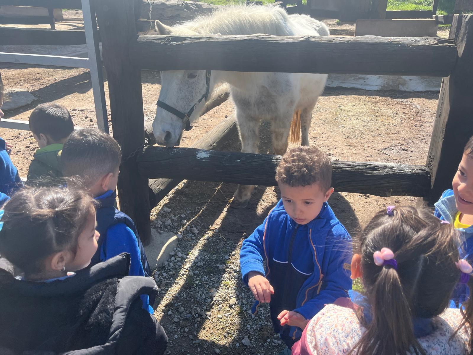 PHOTO-2026-03-13-12-53-49 (4)