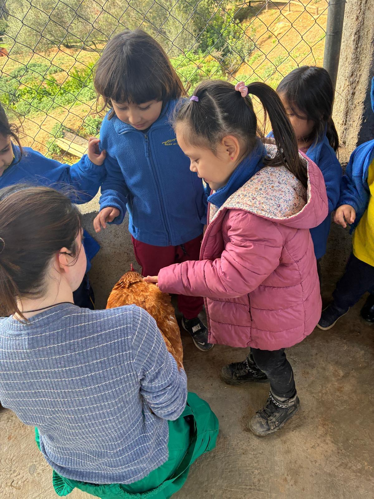 PHOTO-2026-03-13-12-53-49 (5)