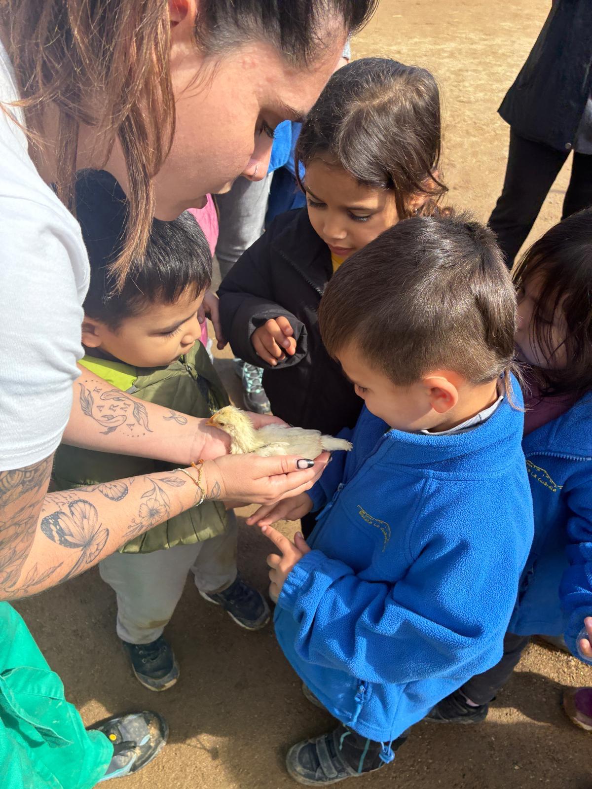 PHOTO-2026-03-13-12-53-49 (7)